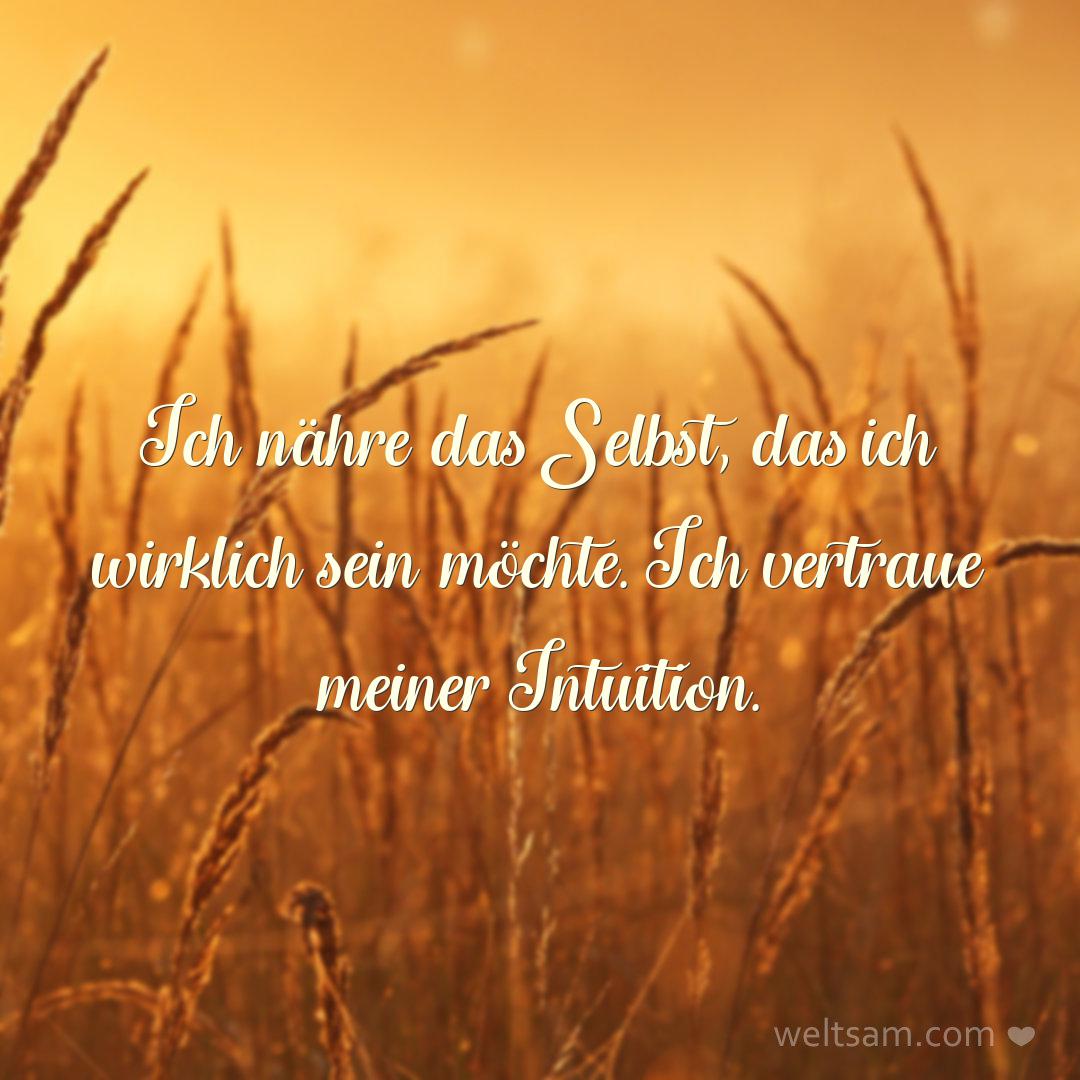 Ich nähre das Selbst, das ich wirklich sein möchte. Ich vertraue meiner Intuition.