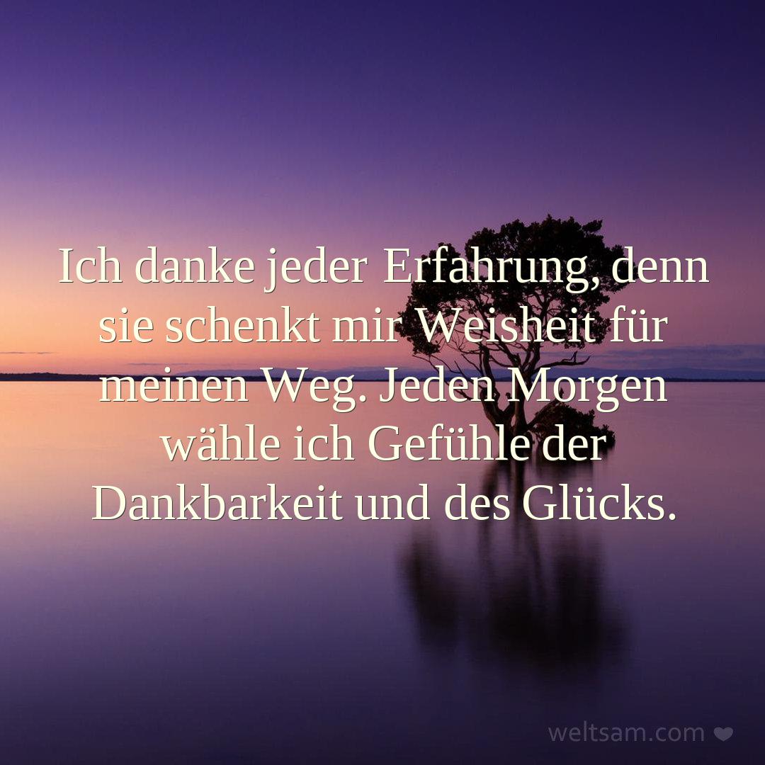 Ich danke jeder Erfahrung, denn sie schenkt mir Weisheit für meinen Weg. Jeden Morgen wähle ich Gefühle der Dankbarkeit und des Glücks.