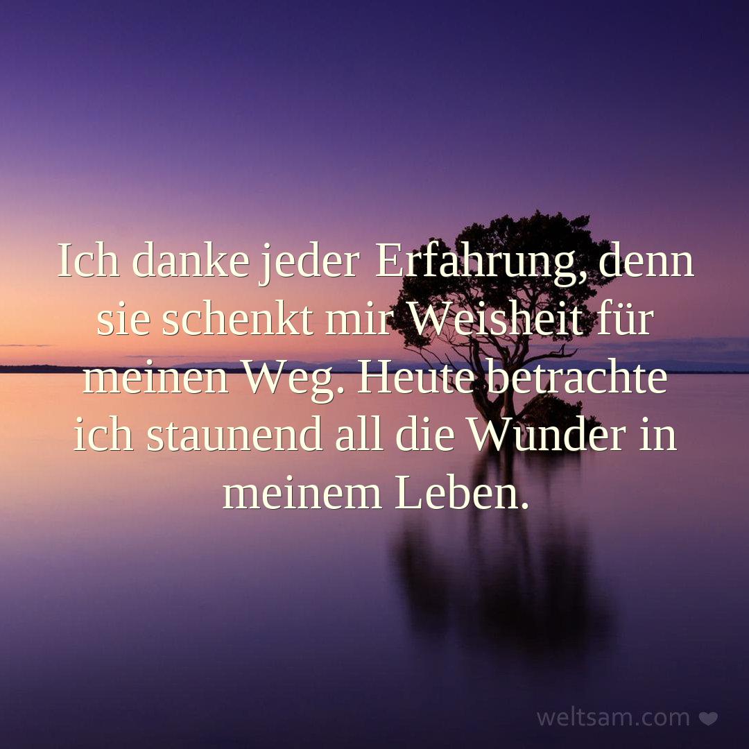 Ich danke jeder Erfahrung, denn sie schenkt mir Weisheit für meinen Weg. Heute betrachte ich staunend all die Wunder in meinem Leben.