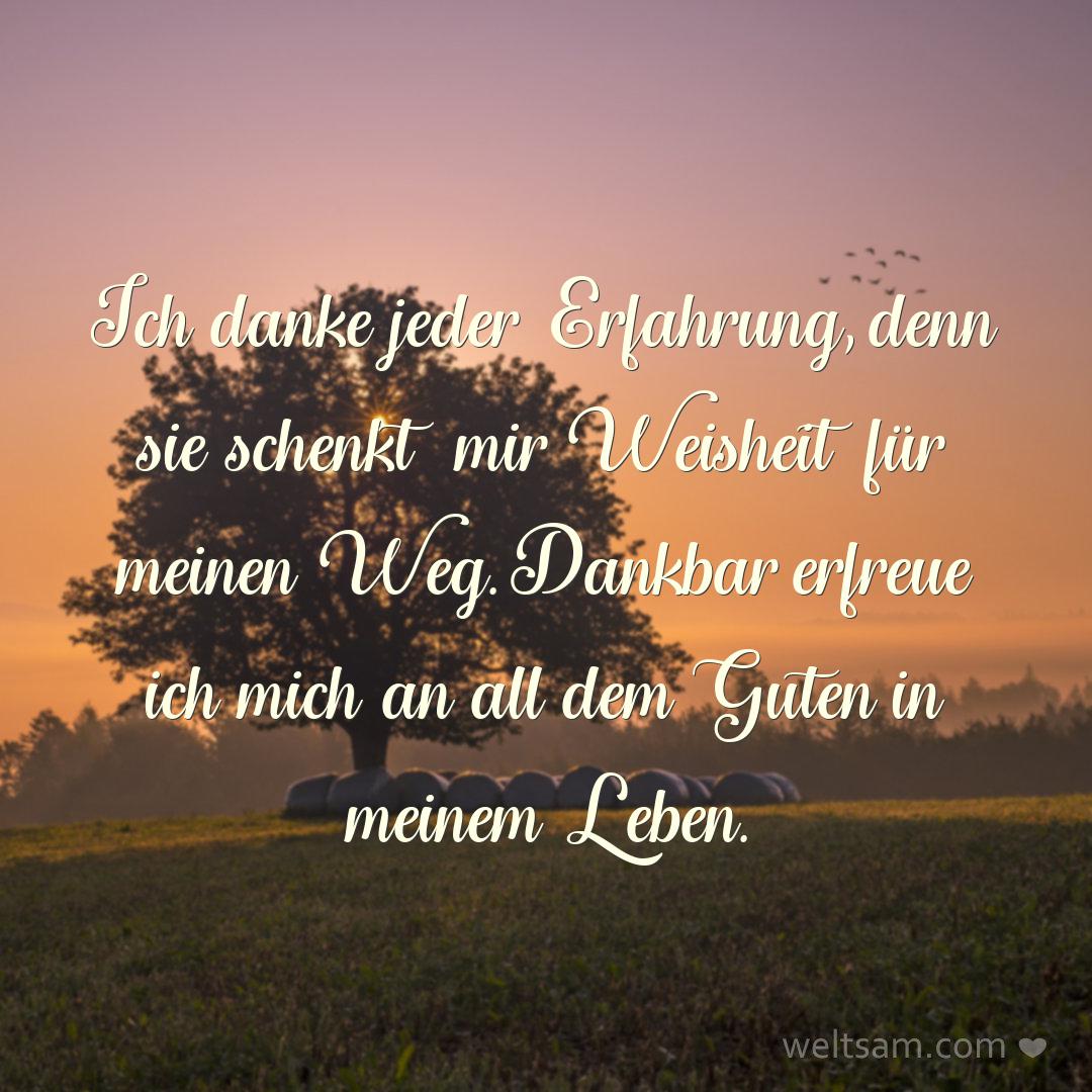 Ich danke jeder Erfahrung, denn sie schenkt mir Weisheit für meinen Weg. Dankbar erfreue ich mich an all dem Guten in meinem Leben.