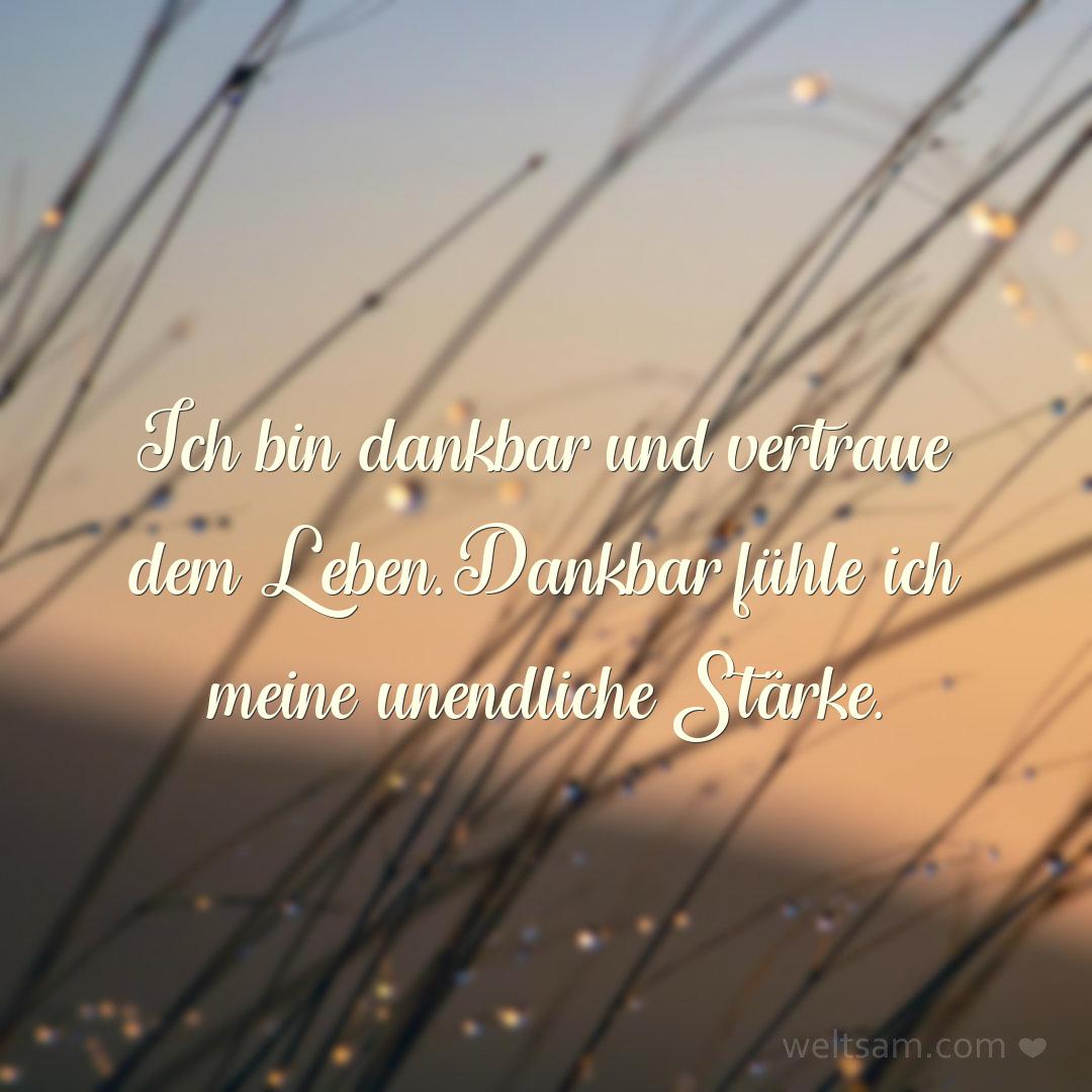Ich bin dankbar und vertraue dem Leben. Dankbar fühle ich meine unendliche Stärke.