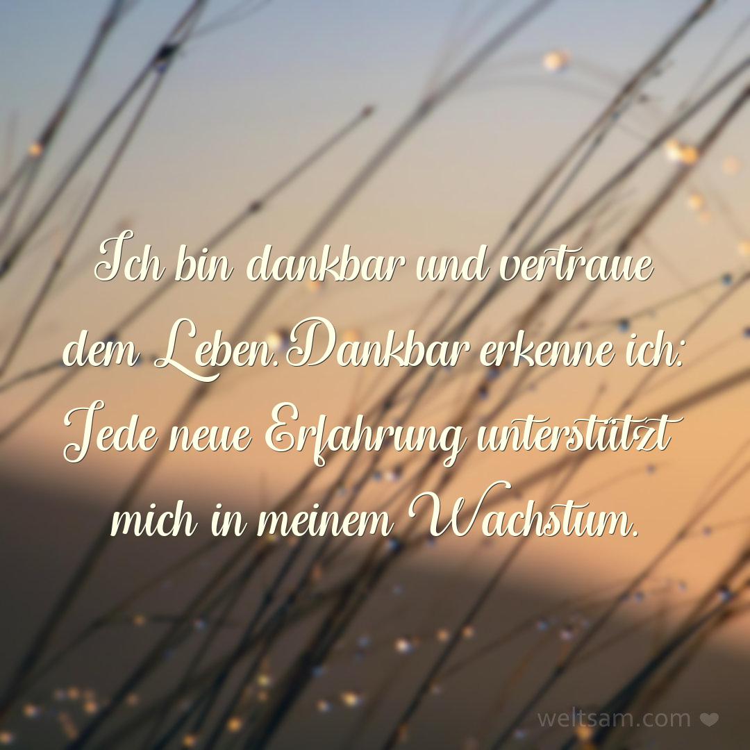 Ich bin dankbar und vertraue dem Leben. Dankbar erkenne ich: Jede neue Erfahrung unterstützt mich in meinem Wachstum.