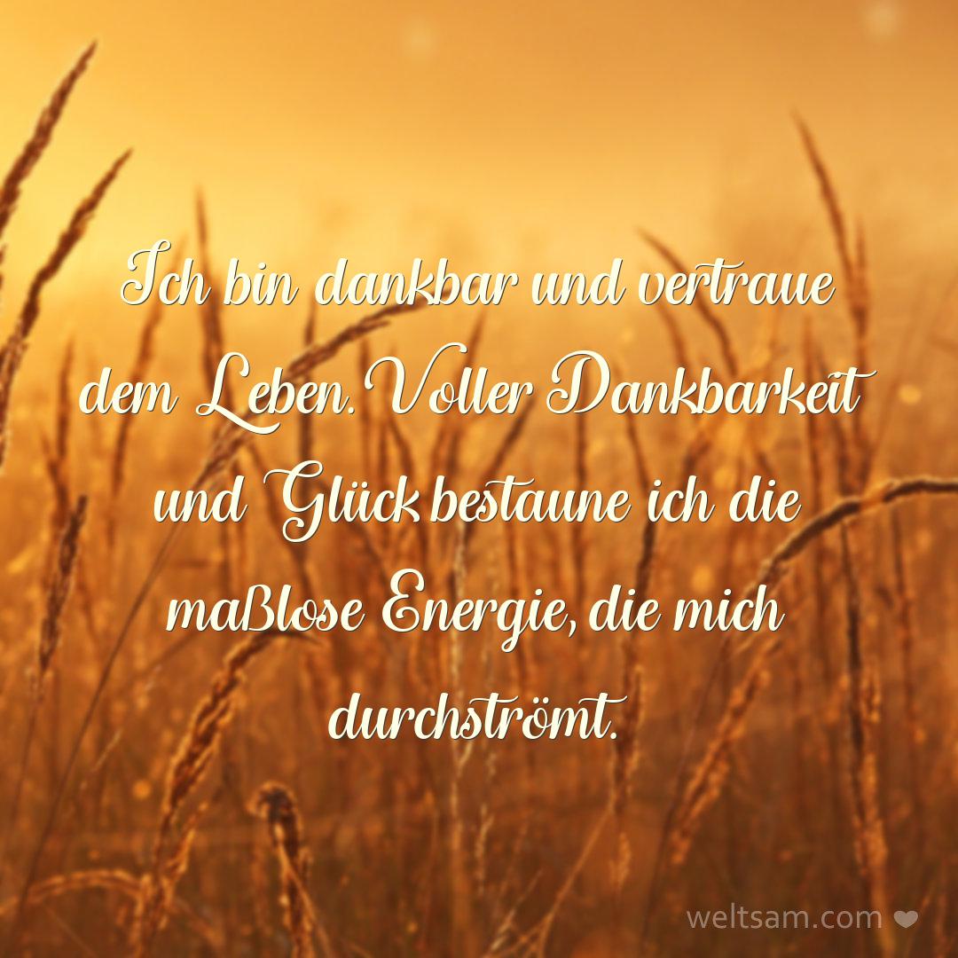 Ich bin dankbar und vertraue dem Leben. Voller Dankbarkeit und Glück bestaune ich die maßlose Energie, die mich durchströmt.