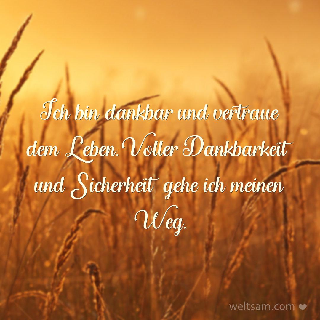 Ich bin dankbar und vertraue dem Leben. Voller Dankbarkeit und Sicherheit gehe ich meinen Weg.