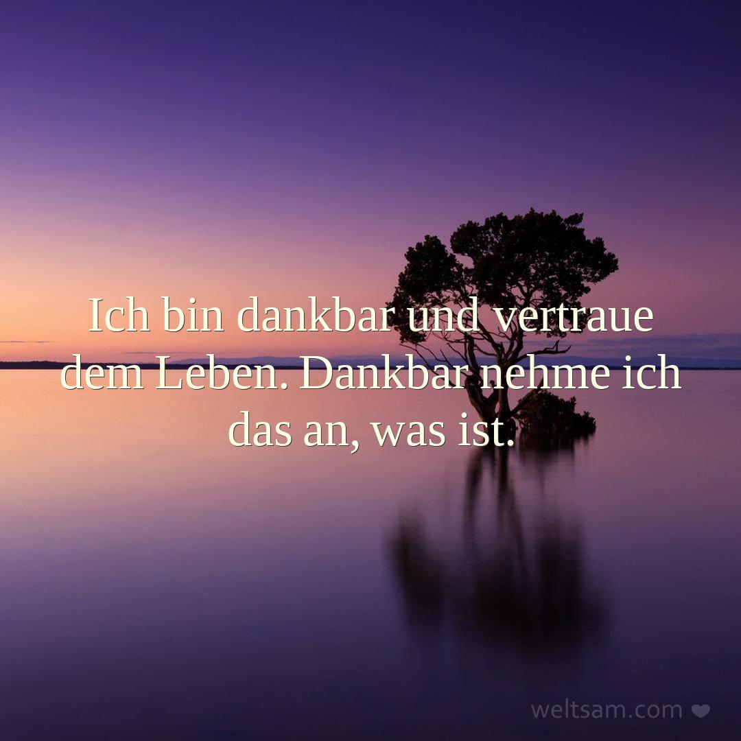 Ich bin dankbar und vertraue dem Leben. Dankbar nehme ich das an, was ist.