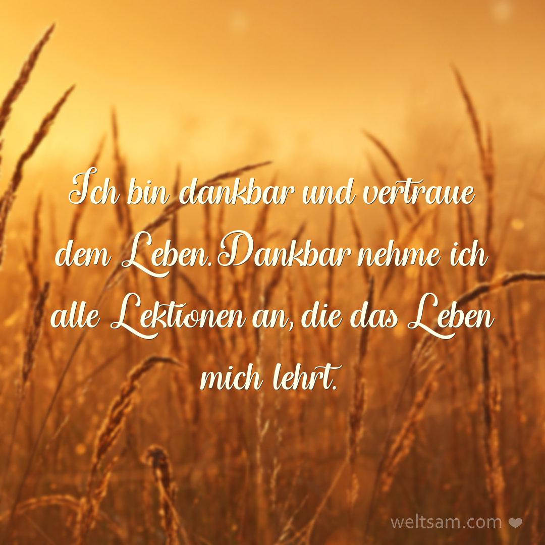 Ich bin dankbar und vertraue dem Leben. Dankbar nehme ich alle Lektionen an, die das Leben mich lehrt.