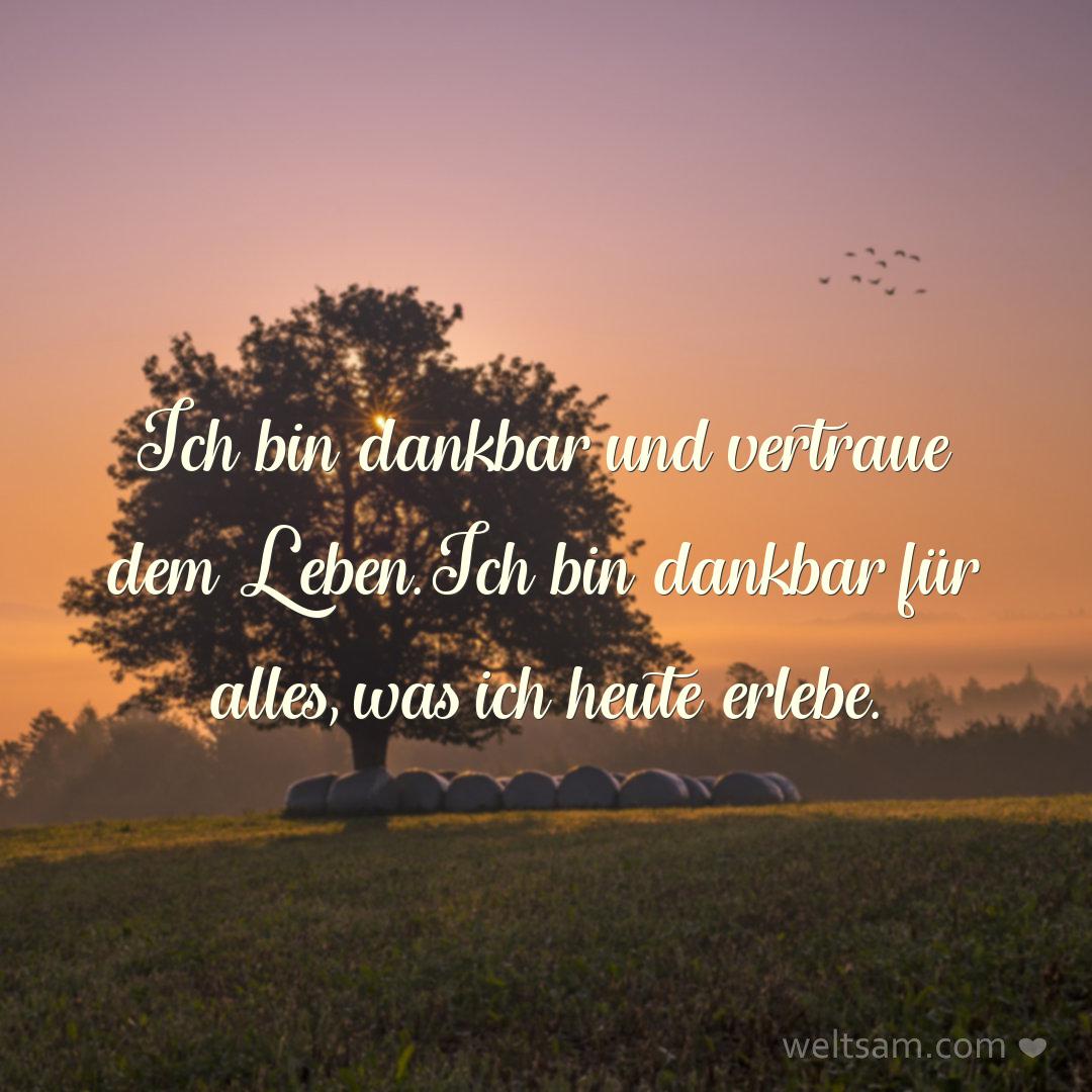 Ich bin dankbar und vertraue dem Leben. Ich bin dankbar für alles, was ich heute erlebe.