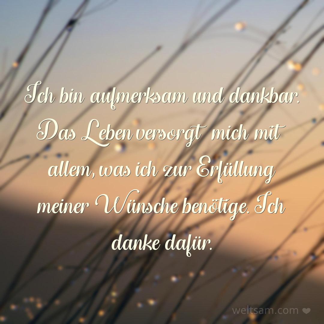 Ich bin aufmerksam und dankbar. Das Leben versorgt mich mit allem, was ich zur Erfüllung meiner Wünsche benötige. Ich danke dafür.