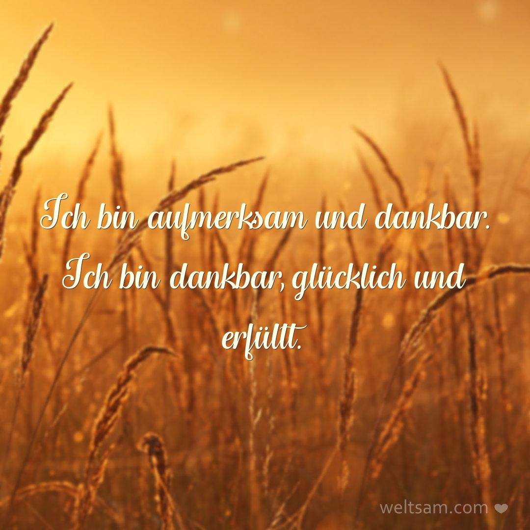 Ich bin aufmerksam und dankbar. Ich bin dankbar, glücklich und erfüllt.