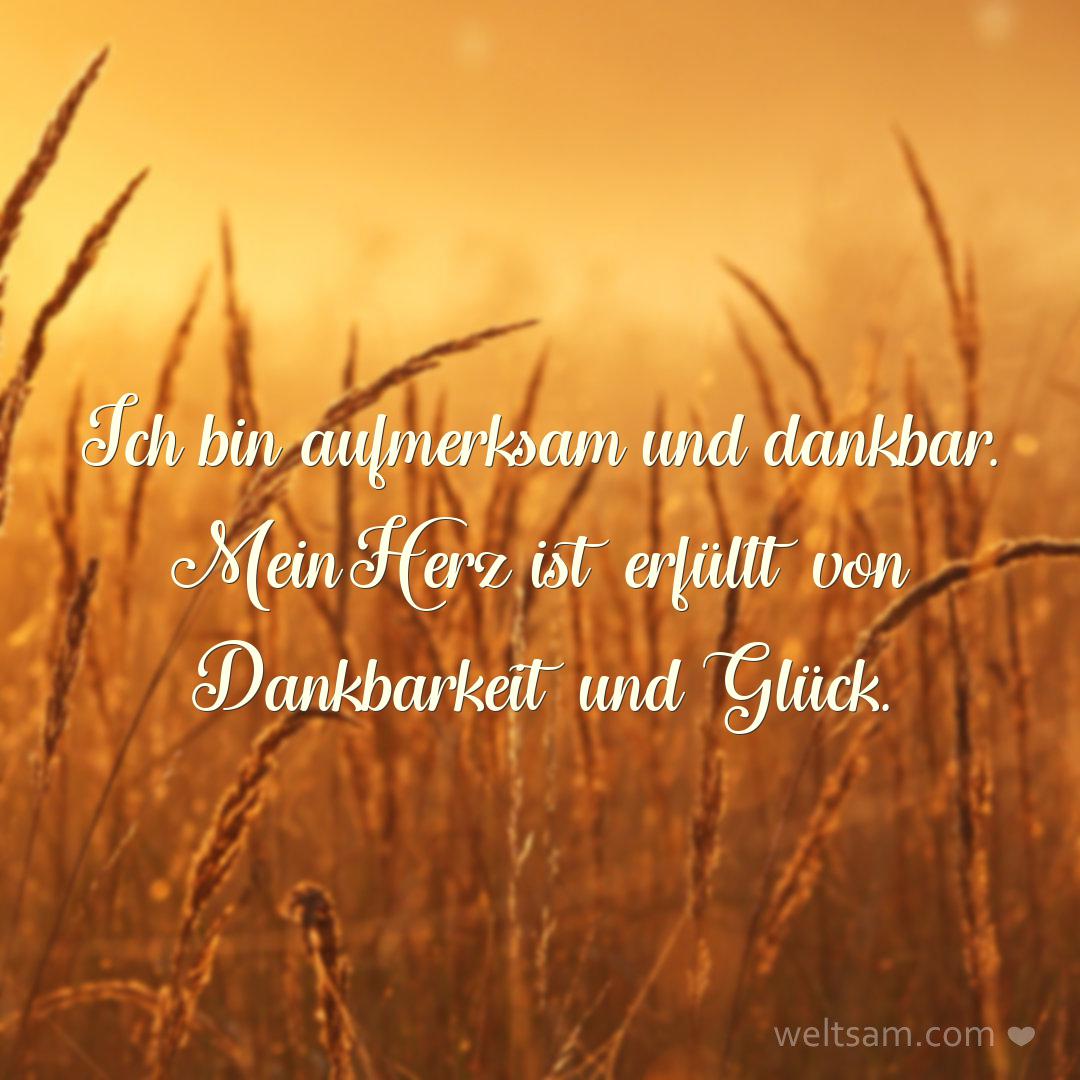Ich bin aufmerksam und dankbar. Mein Herz ist erfüllt von Dankbarkeit und Glück.