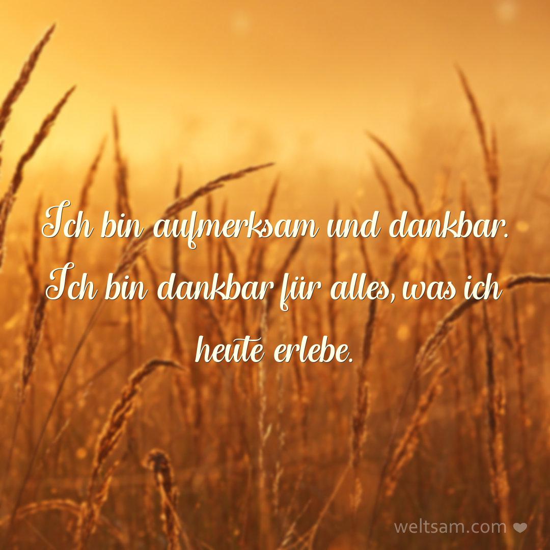 Ich bin aufmerksam und dankbar. Ich bin dankbar für alles, was ich heute erlebe.