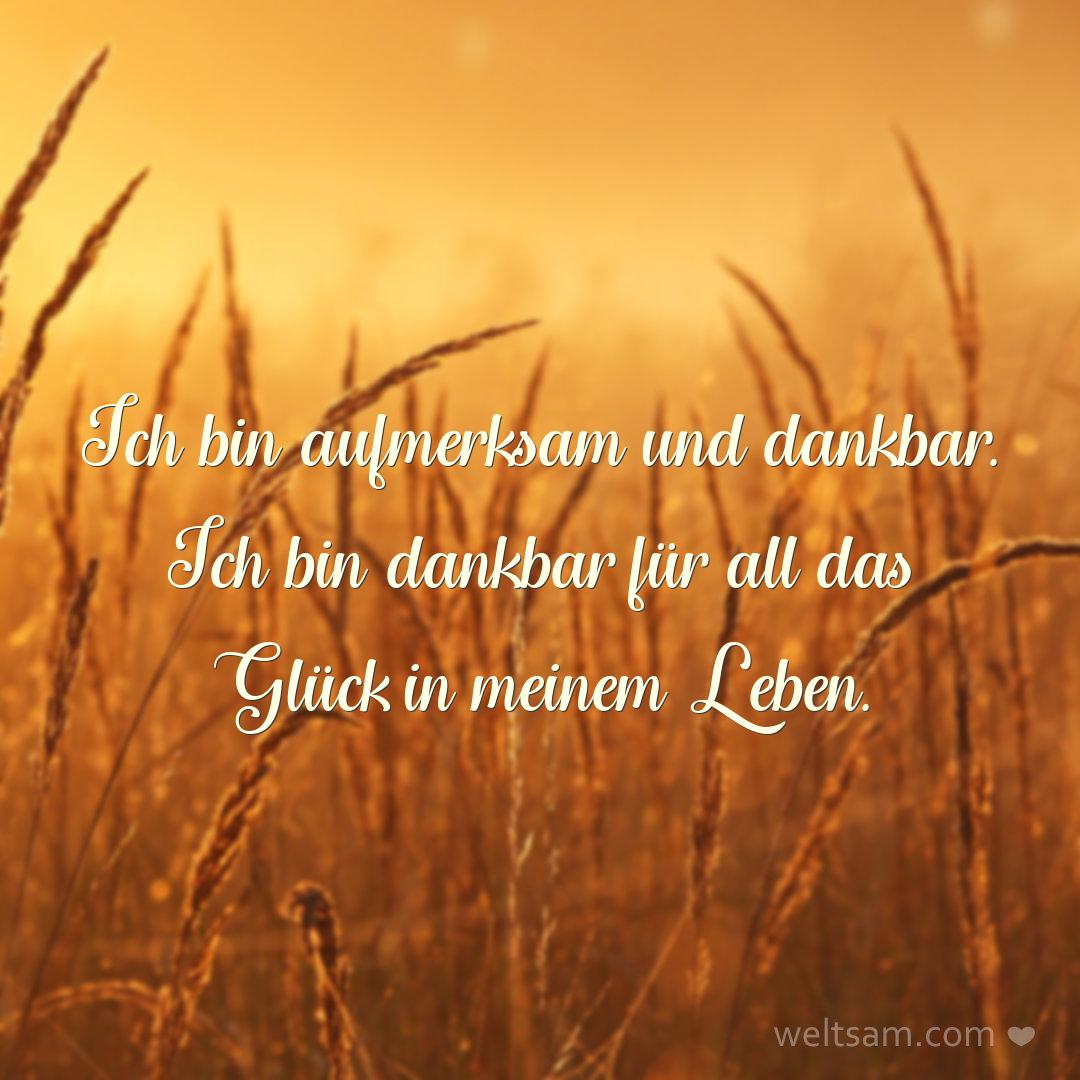 Ich bin aufmerksam und dankbar. Ich bin dankbar für all das Glück in meinem Leben.