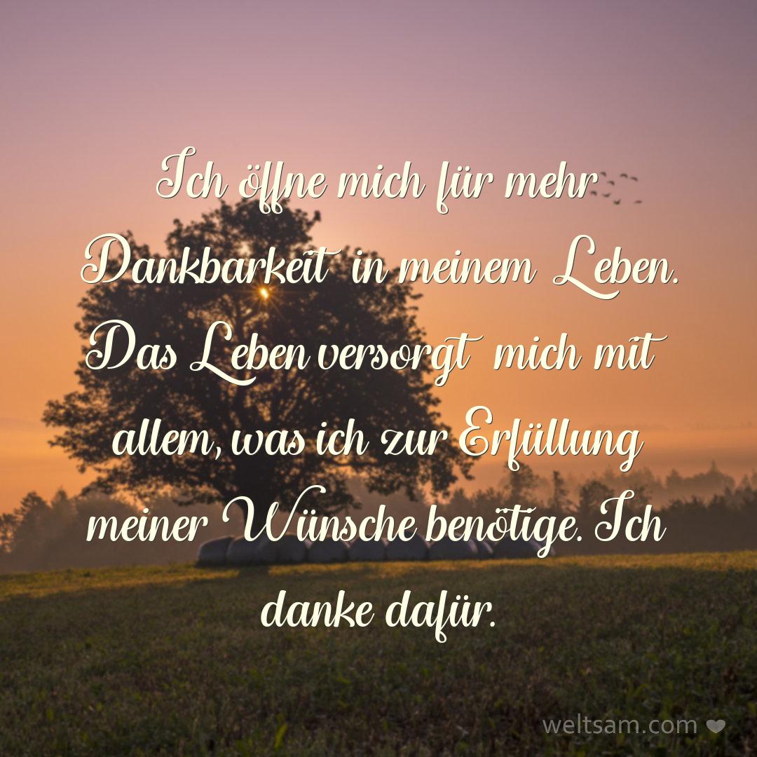 Ich öffne mich für mehr Dankbarkeit in meinem Leben. Das Leben versorgt mich mit allem, was ich zur Erfüllung meiner Wünsche benötige. Ich danke dafür.