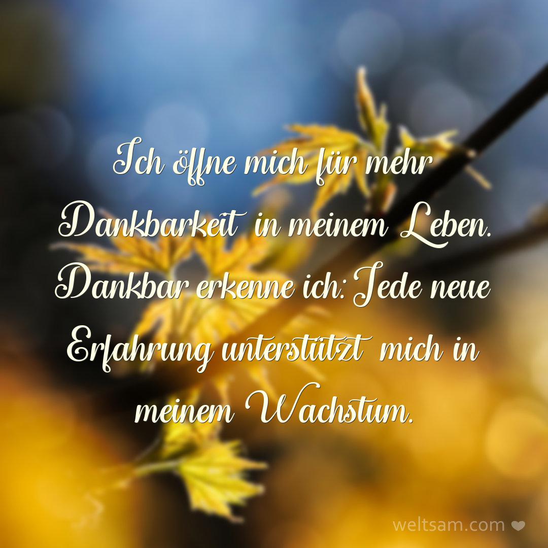 Ich öffne mich für mehr Dankbarkeit in meinem Leben. Dankbar erkenne ich: Jede neue Erfahrung unterstützt mich in meinem Wachstum.