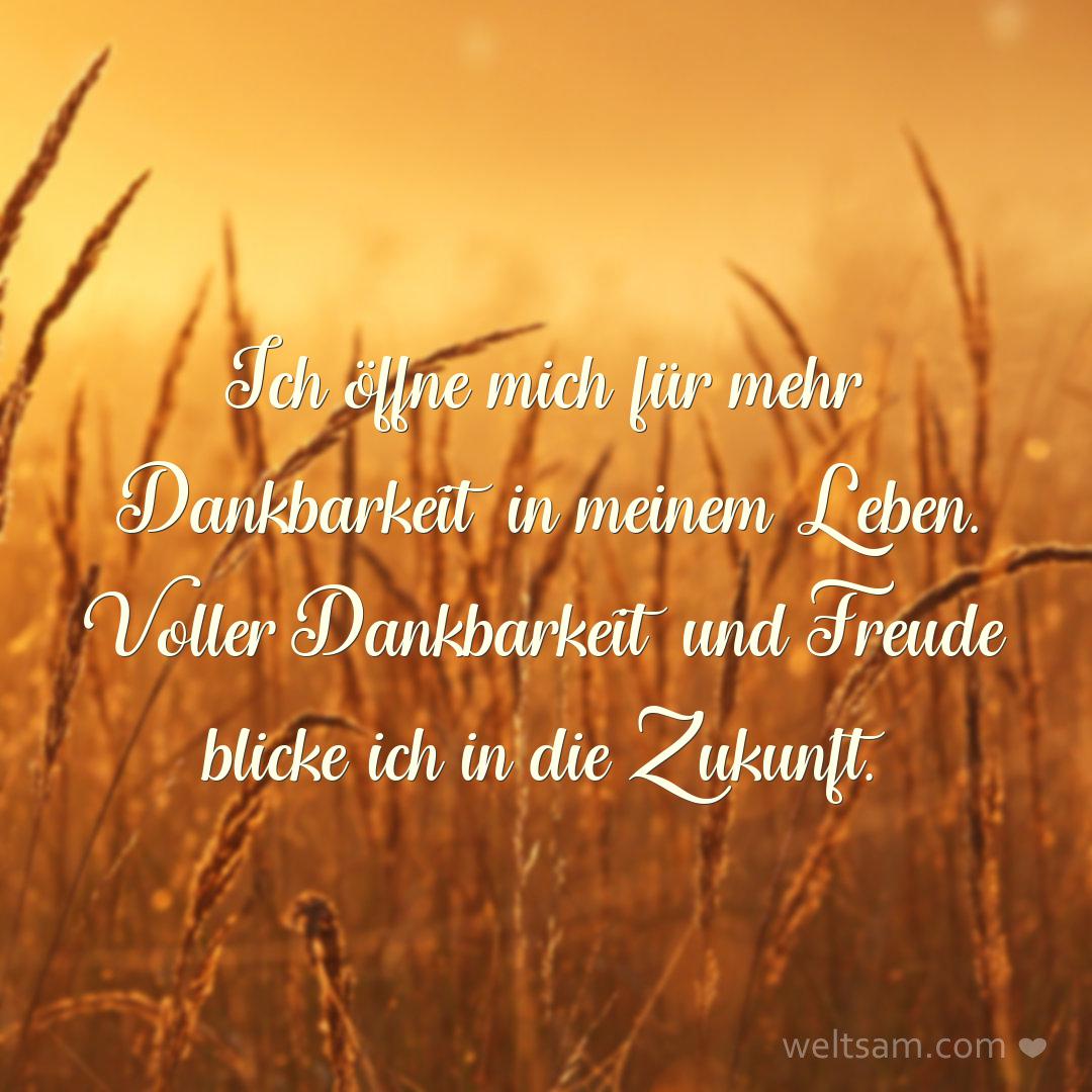 Ich öffne mich für mehr Dankbarkeit in meinem Leben. Voller Dankbarkeit und Freude blicke ich in die Zukunft.
