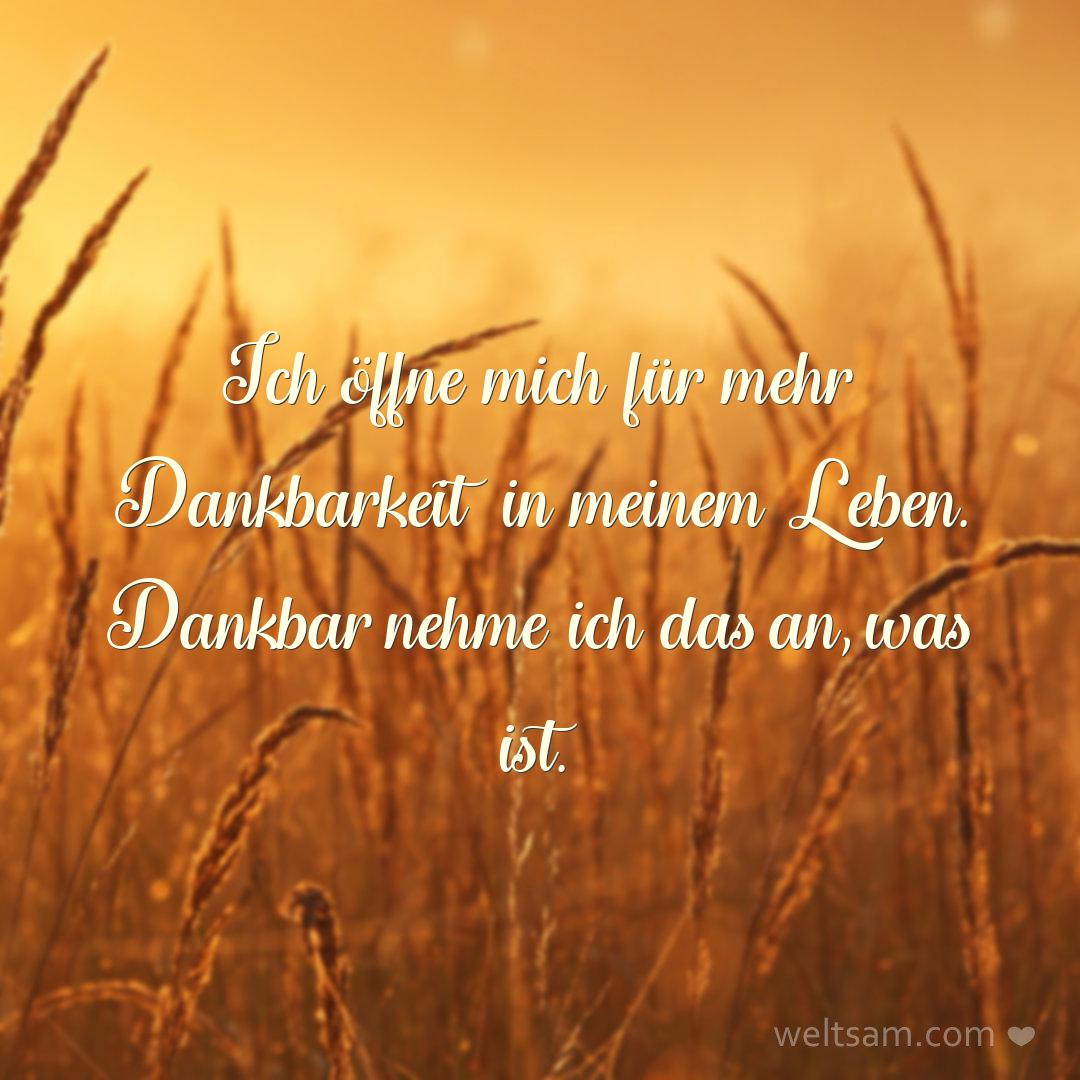 Ich öffne mich für mehr Dankbarkeit in meinem Leben. Dankbar nehme ich das an, was ist.