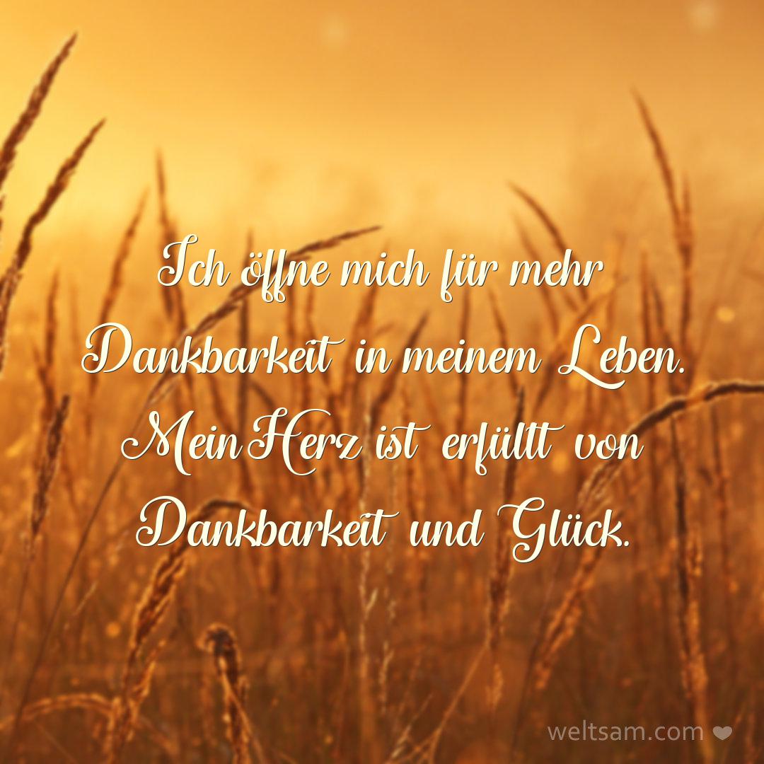 Ich öffne mich für mehr Dankbarkeit in meinem Leben. Mein Herz ist erfüllt von Dankbarkeit und Glück.