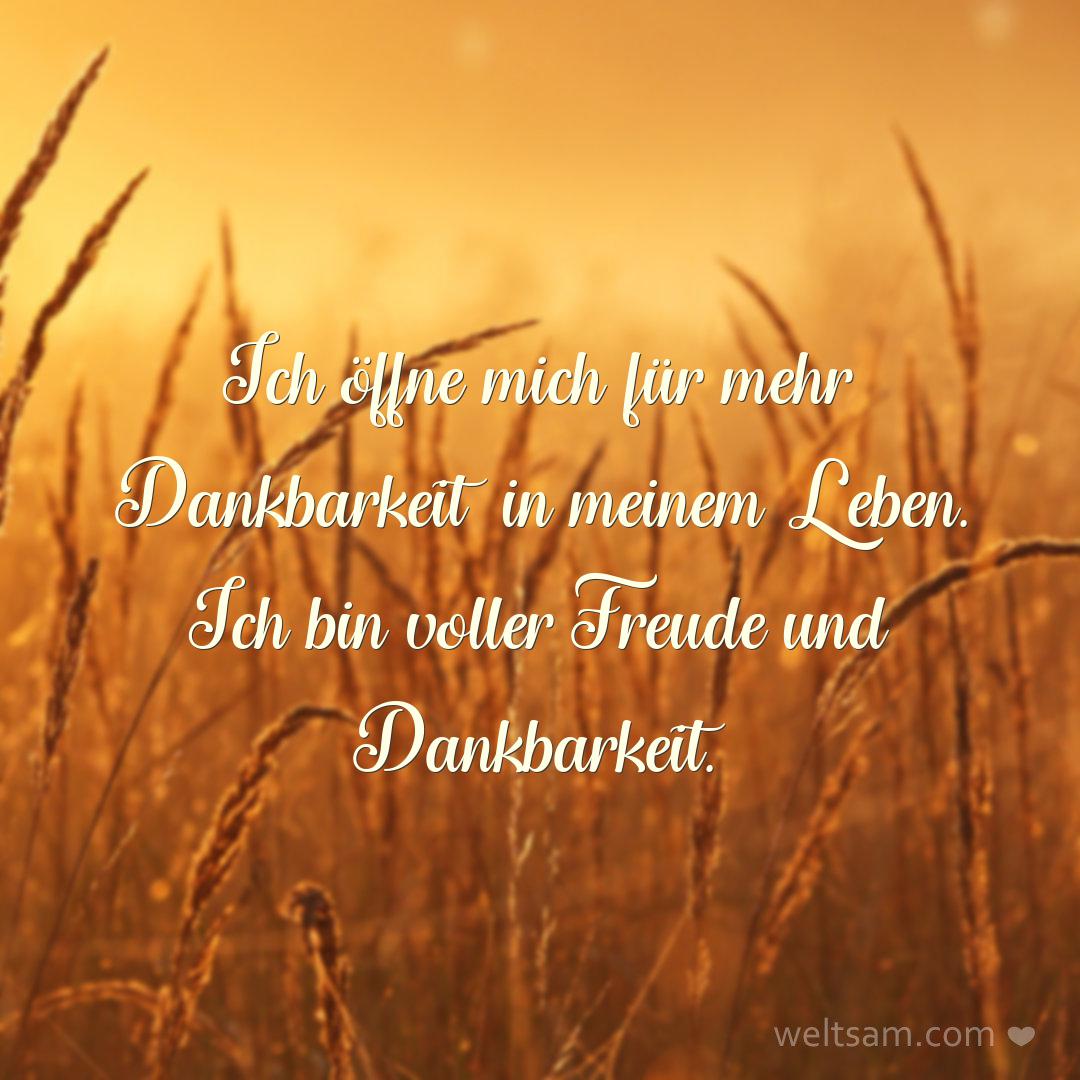 Ich öffne mich für mehr Dankbarkeit in meinem Leben. Ich bin voller Freude und Dankbarkeit.
