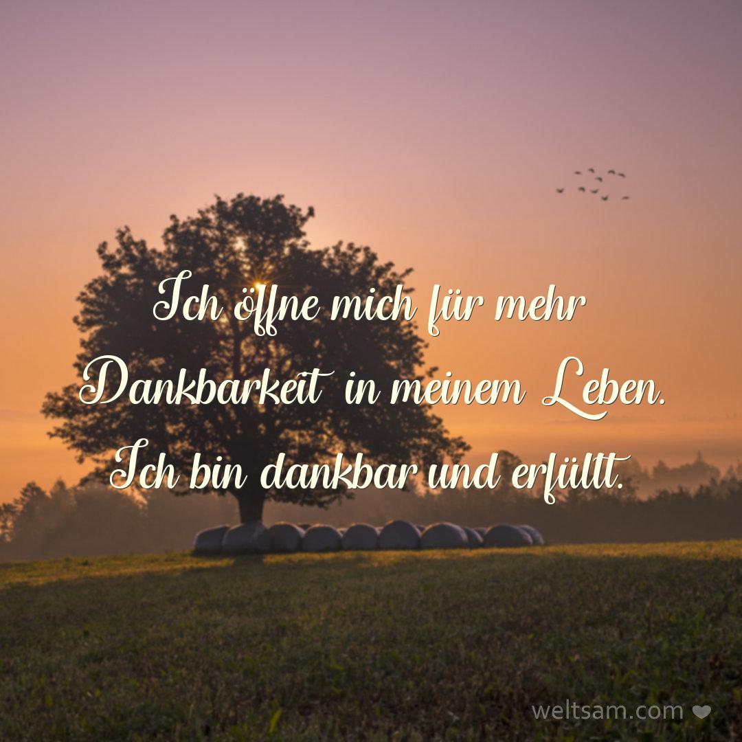 Ich öffne mich für mehr Dankbarkeit in meinem Leben. Ich bin dankbar und erfüllt.