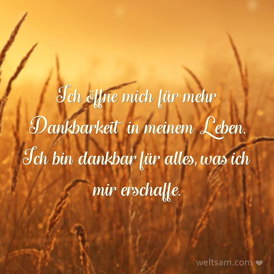 Ich öffne mich für mehr Dankbarkeit in meinem Leben. Ich bin dankbar für alles, was ich mir erschaffe.