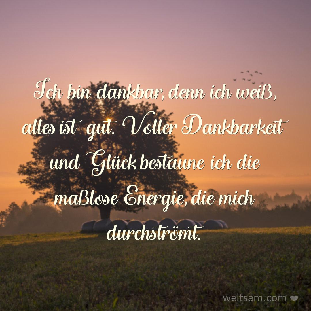Ich bin dankbar, denn ich weiß, alles ist gut. Voller Dankbarkeit und Glück bestaune ich die maßlose Energie, die mich durchströmt.