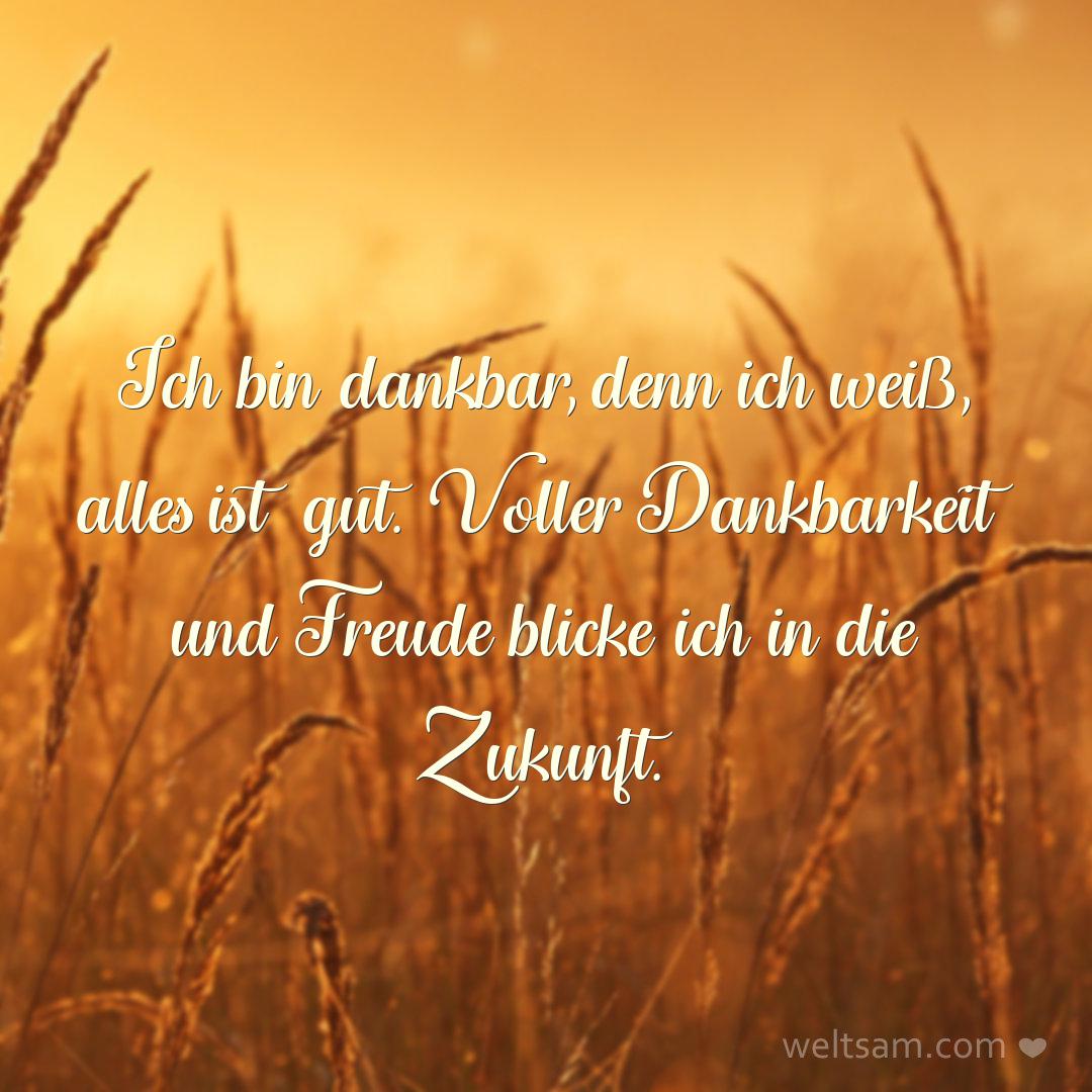 Ich bin dankbar, denn ich weiß, alles ist gut. Voller Dankbarkeit und Freude blicke ich in die Zukunft.