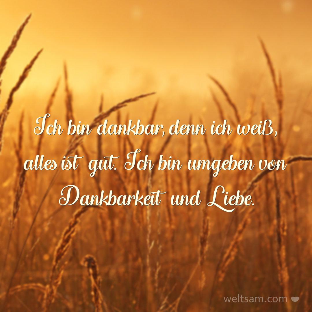 Ich bin dankbar, denn ich weiß, alles ist gut. Ich bin umgeben von Dankbarkeit und Liebe.