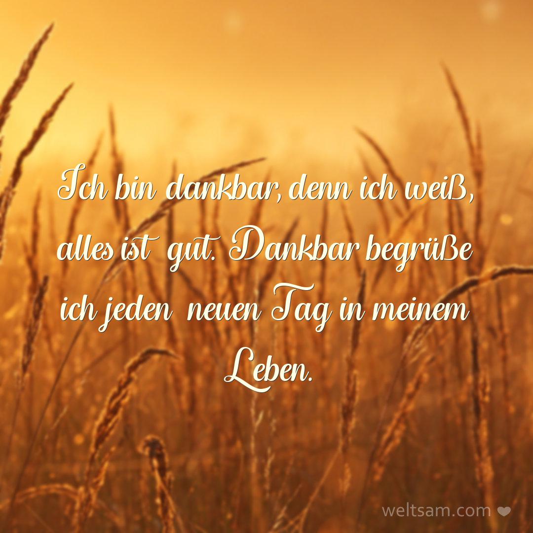 Ich bin dankbar, denn ich weiß, alles ist gut. Dankbar begrüße ich jeden neuen Tag in meinem Leben.