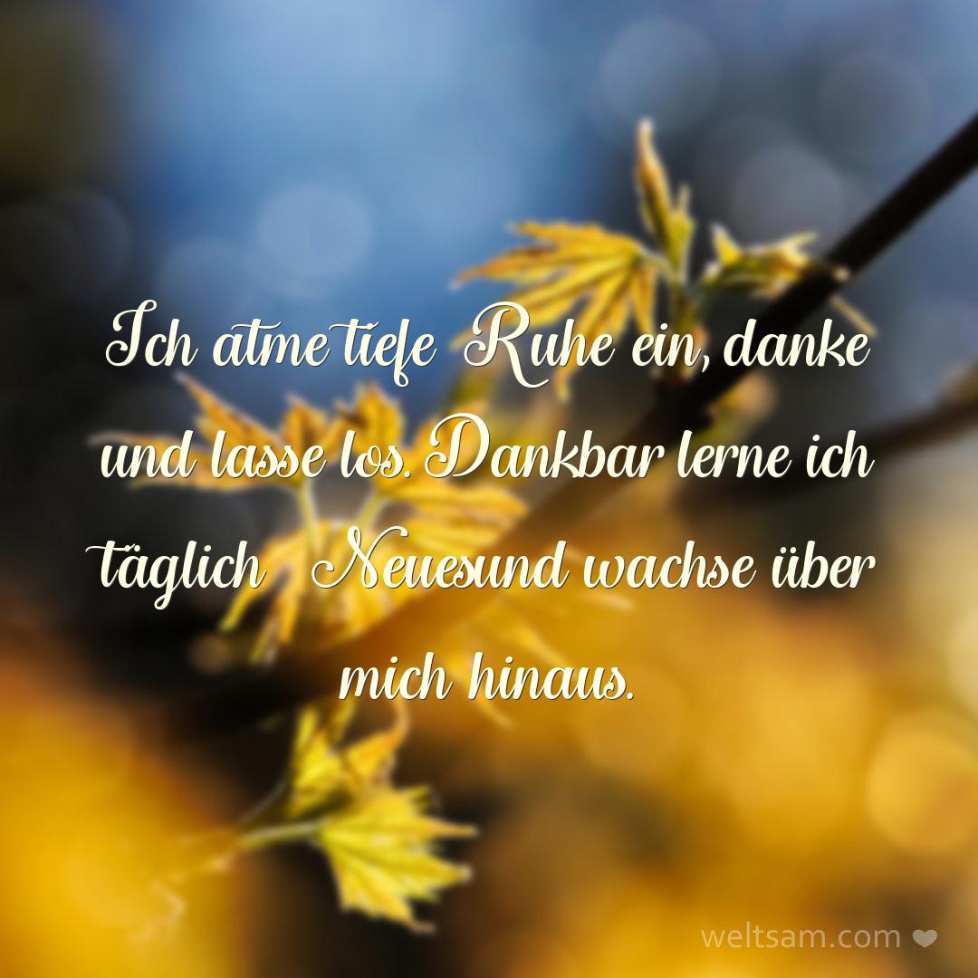 Ich atme tiefe Ruhe ein, danke und lasse los. Dankbar lerne ich täglich Neues und wachse über mich hinaus.