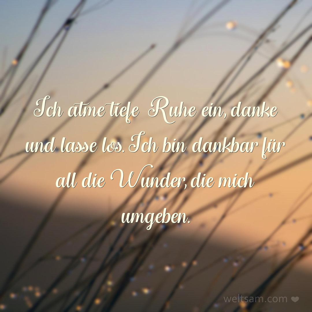 Ich atme tiefe Ruhe ein, danke und lasse los. Ich bin dankbar für all die Wunder, die mich umgeben.