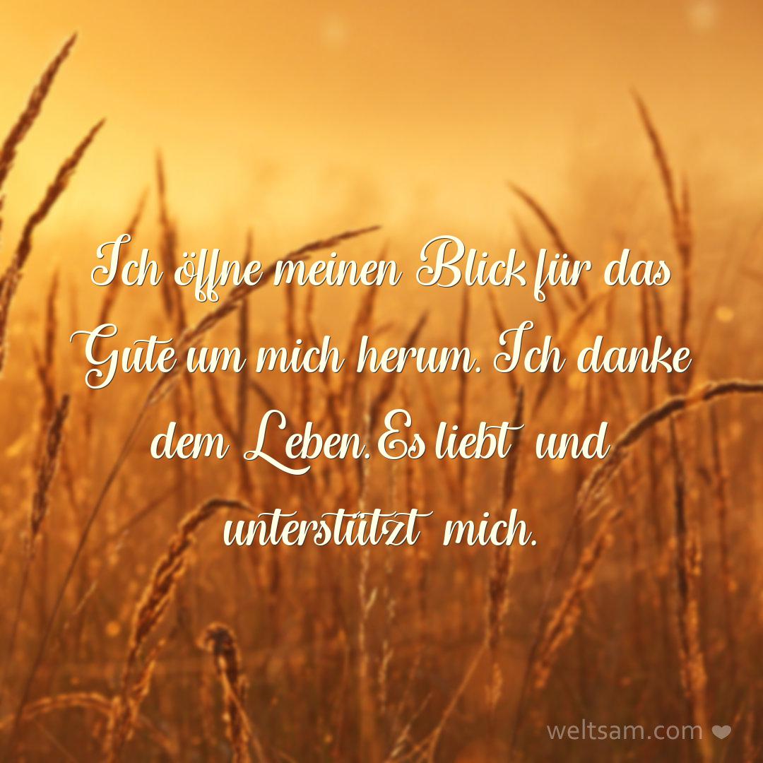 Ich öffne meinen Blick für das Gute um mich herum. Ich danke dem Leben. Es liebt und unterstützt mich.