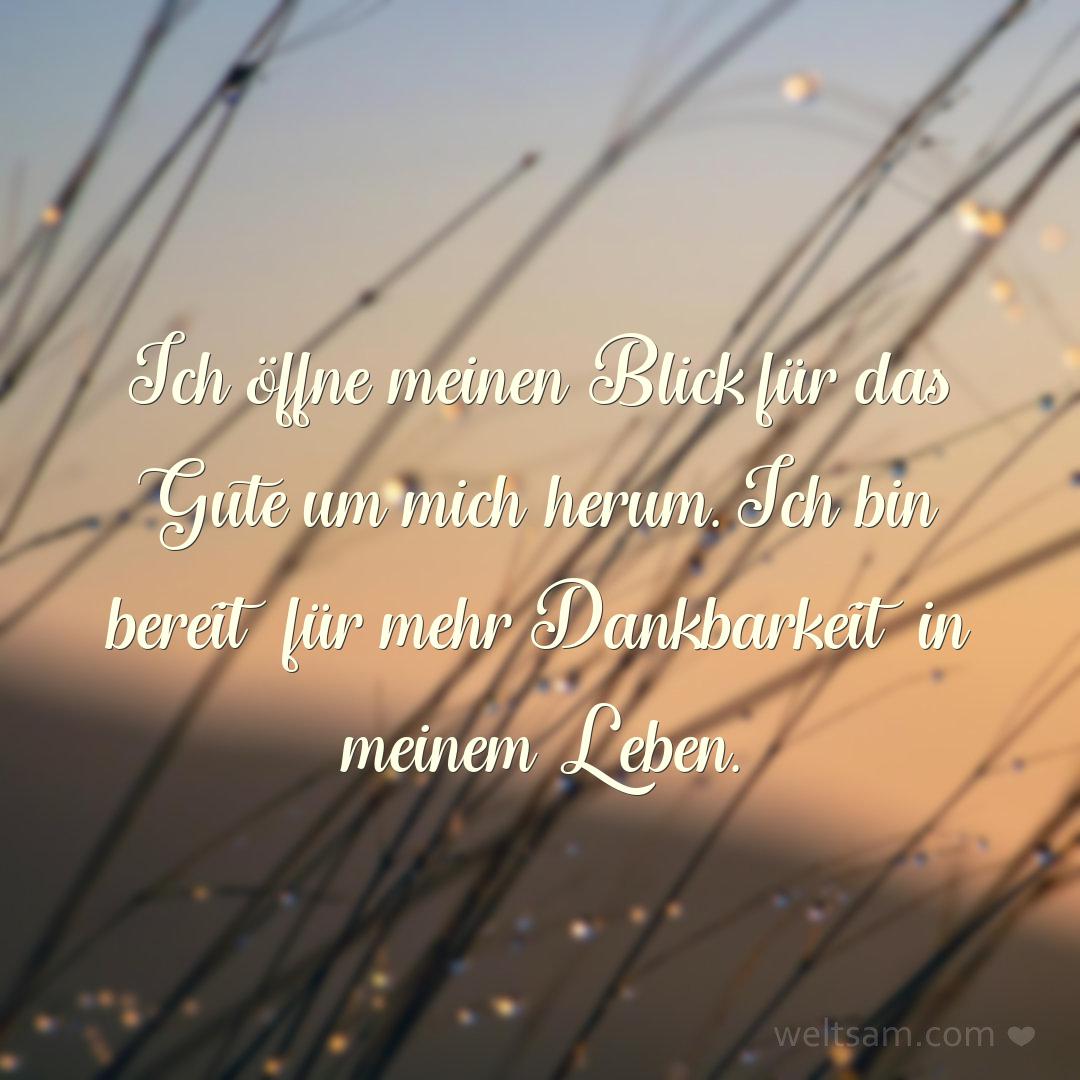 Ich öffne meinen Blick für das Gute um mich herum. Ich bin bereit für mehr Dankbarkeit in meinem Leben.