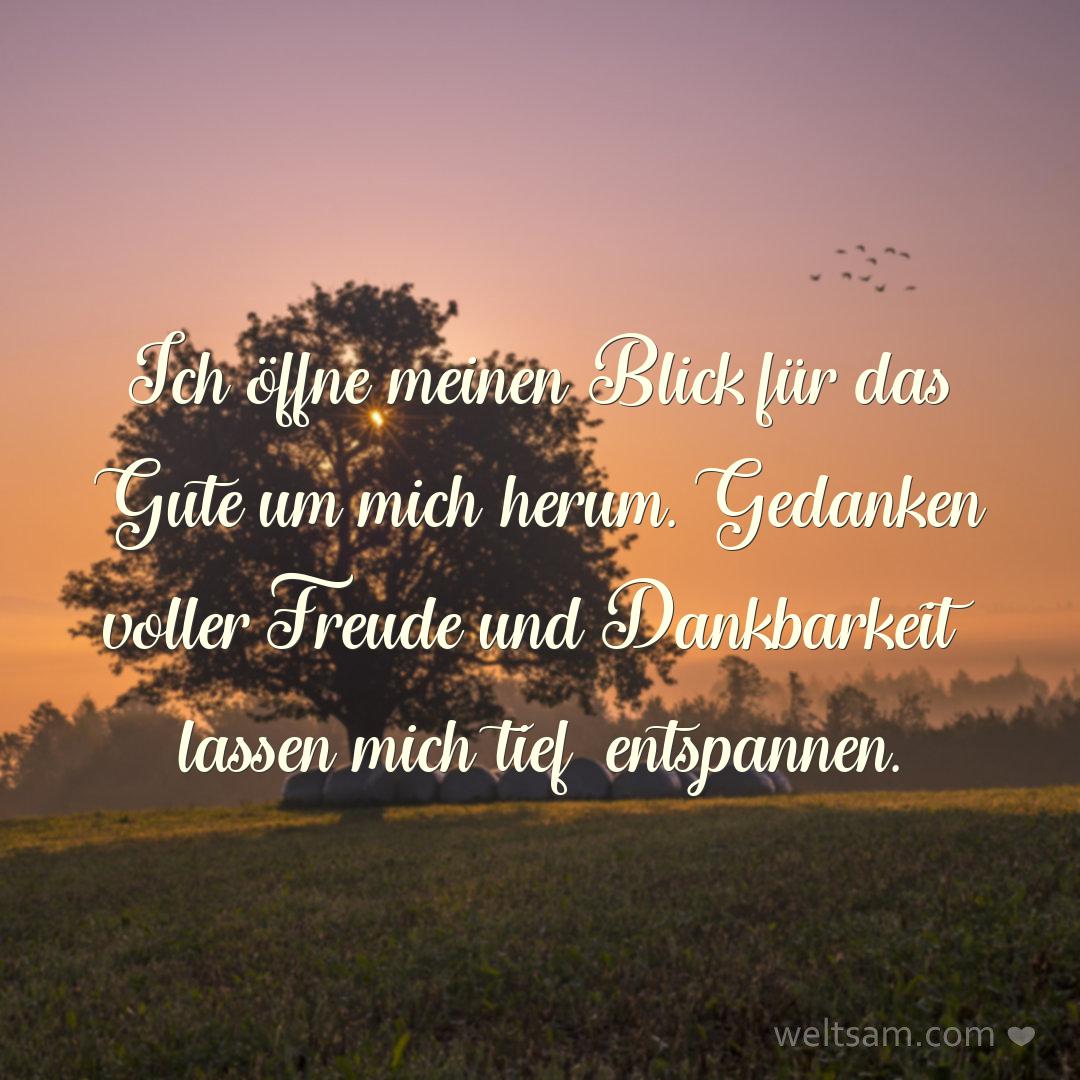 Ich öffne meinen Blick für das Gute um mich herum. Gedanken voller Freude und Dankbarkeit lassen mich tief entspannen.