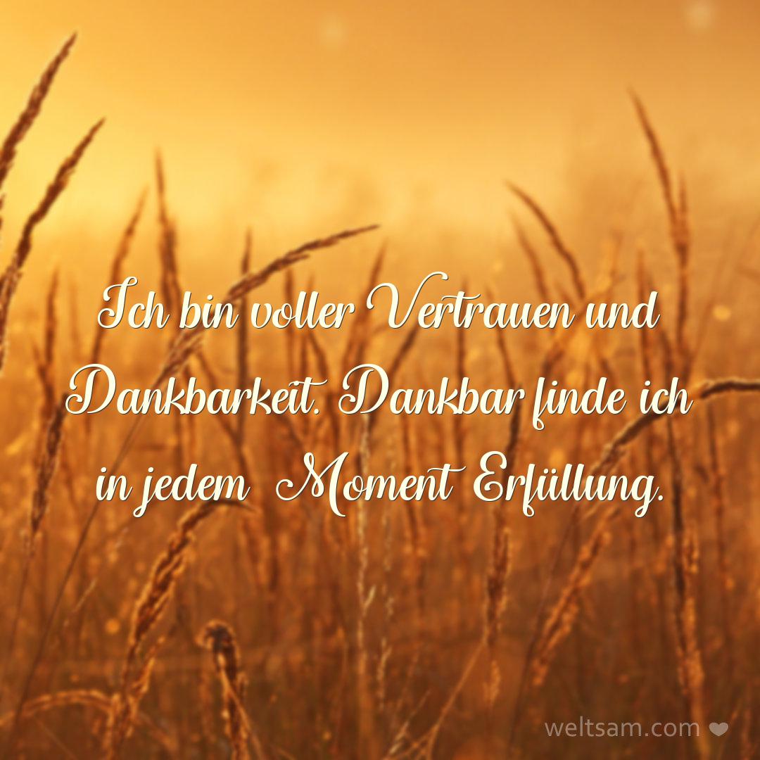 Ich bin voller Vertrauen und Dankbarkeit. Dankbar finde ich in jedem Moment Erfüllung.
