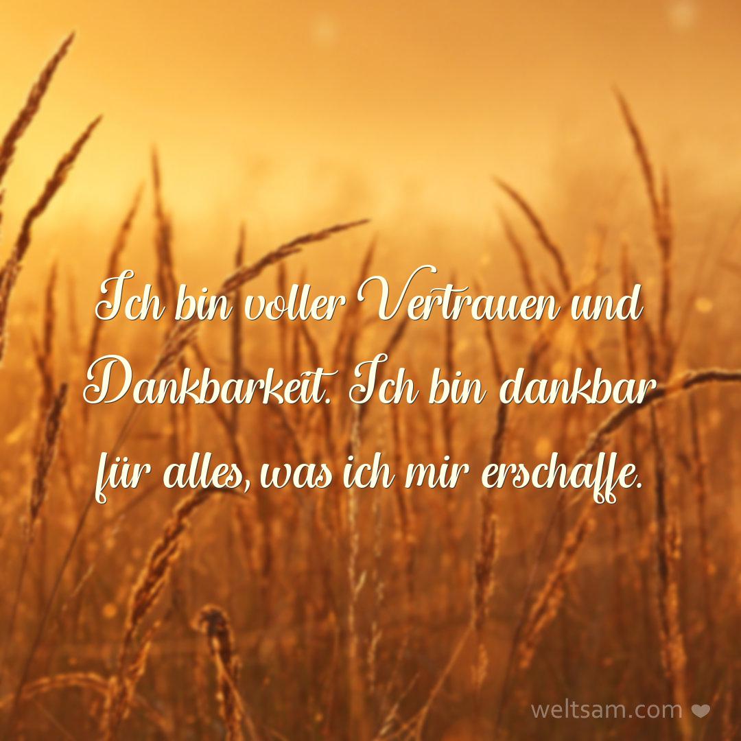Ich bin voller Vertrauen und Dankbarkeit. Ich bin dankbar für alles, was ich mir erschaffe.