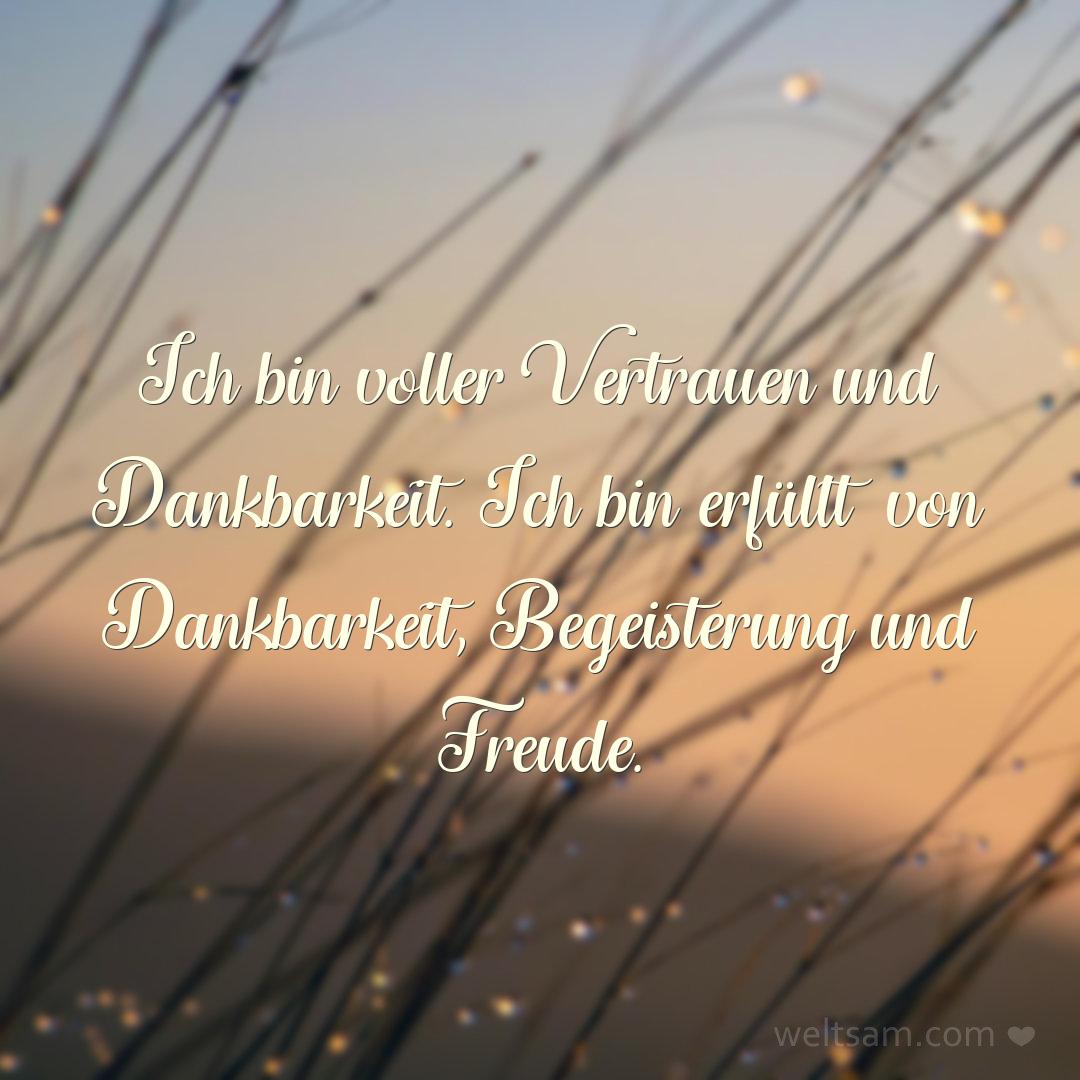 Ich bin voller Vertrauen und Dankbarkeit. Ich bin erfüllt von Dankbarkeit, Begeisterung und Freude.