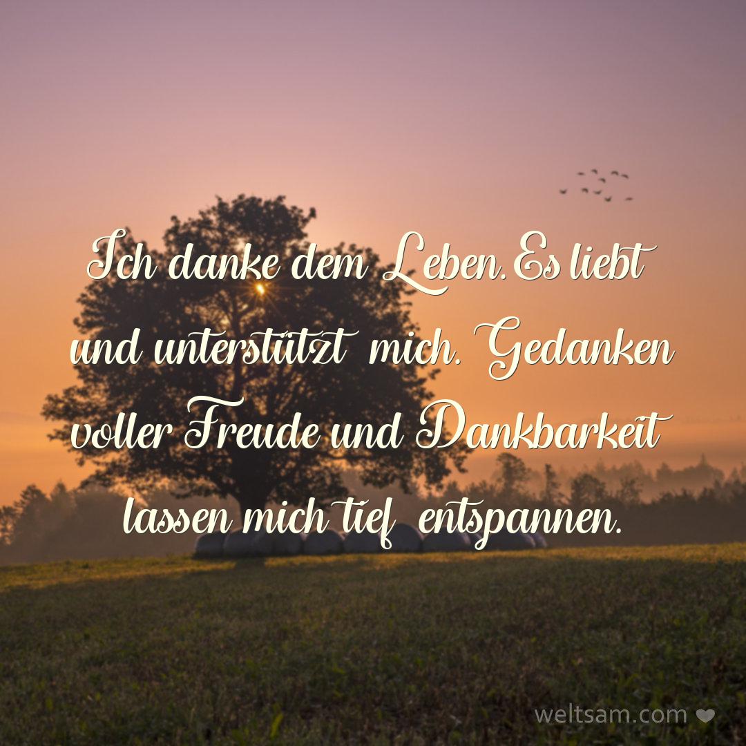 Ich danke dem Leben. Es liebt und unterstützt mich. Gedanken voller Freude und Dankbarkeit lassen mich tief entspannen.