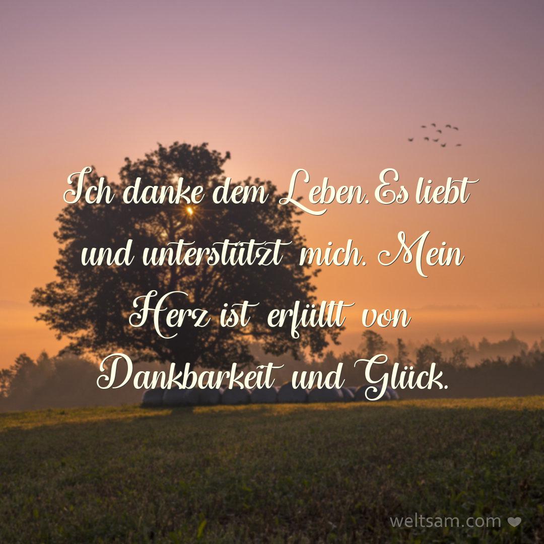 Ich danke dem Leben. Es liebt und unterstützt mich. Mein Herz ist erfüllt von Dankbarkeit und Glück.