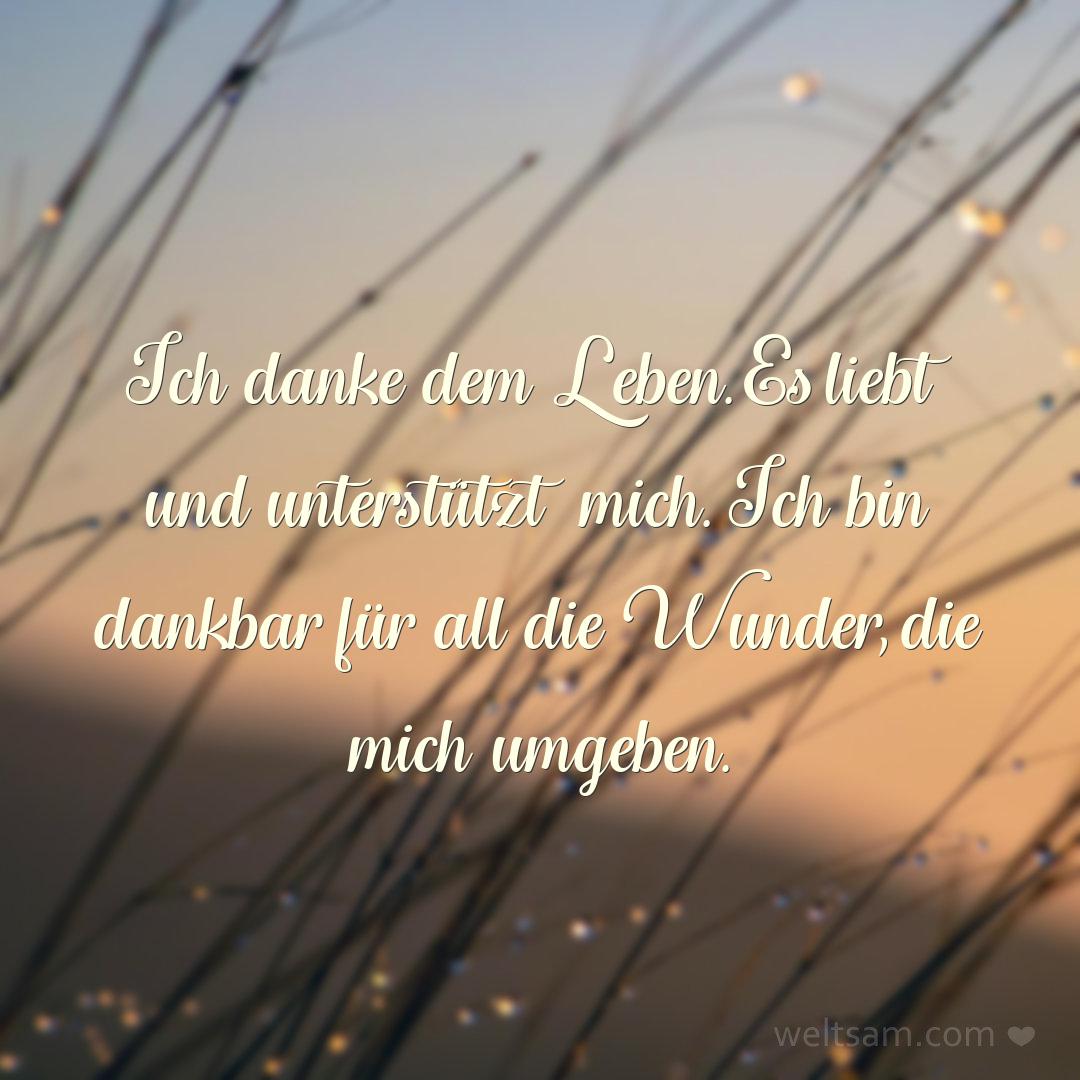 Ich danke dem Leben. Es liebt und unterstützt mich. Ich bin dankbar für all die Wunder, die mich umgeben.