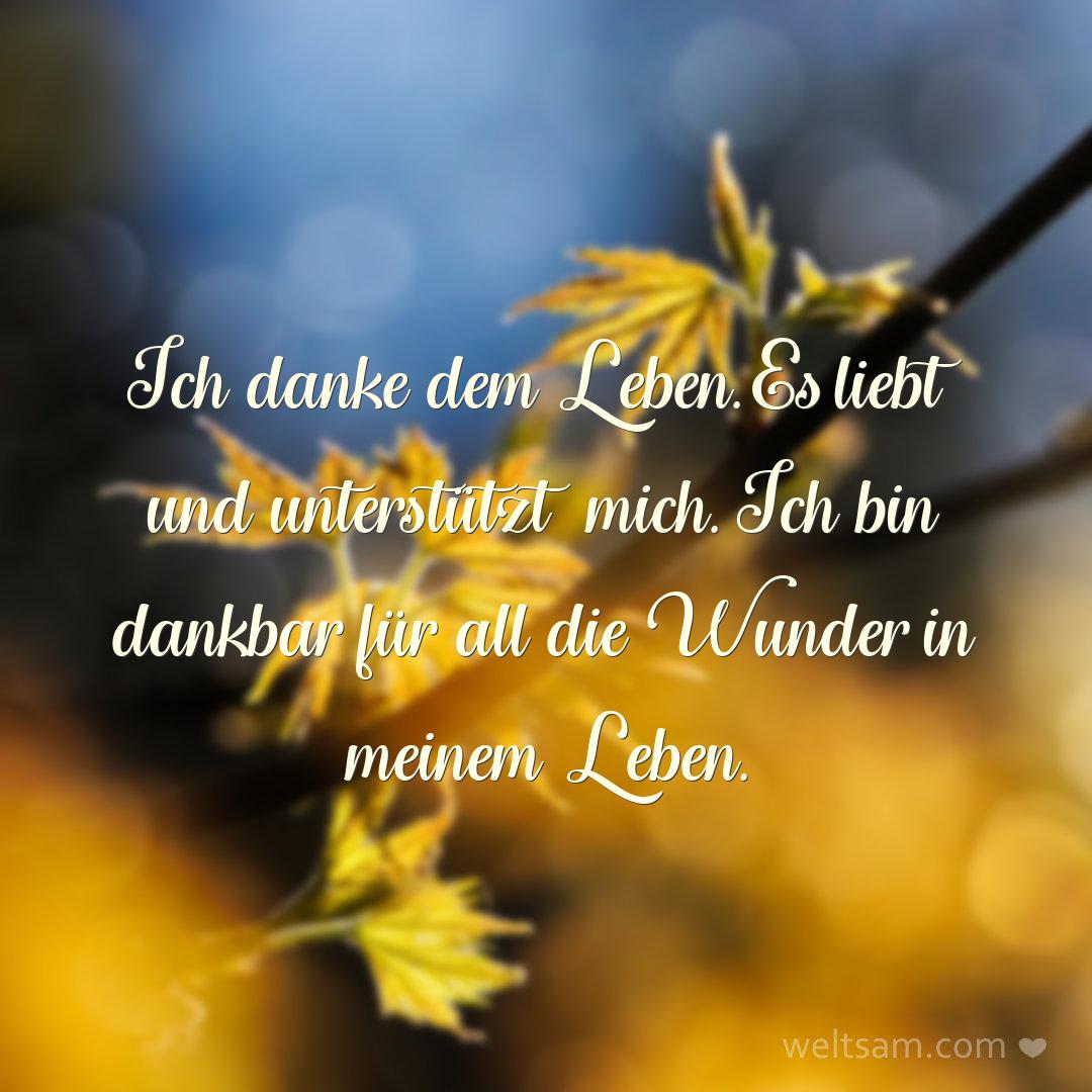 Ich danke dem Leben. Es liebt und unterstützt mich. Ich bin dankbar für all die Wunder in meinem Leben.