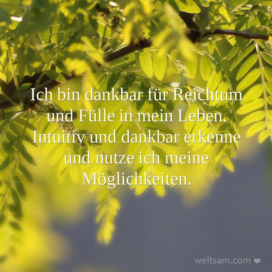 Ich bin dankbar für Reichtum und Fülle in mein Leben. Intuitiv und dankbar erkenne und nutze ich meine Möglichkeiten.