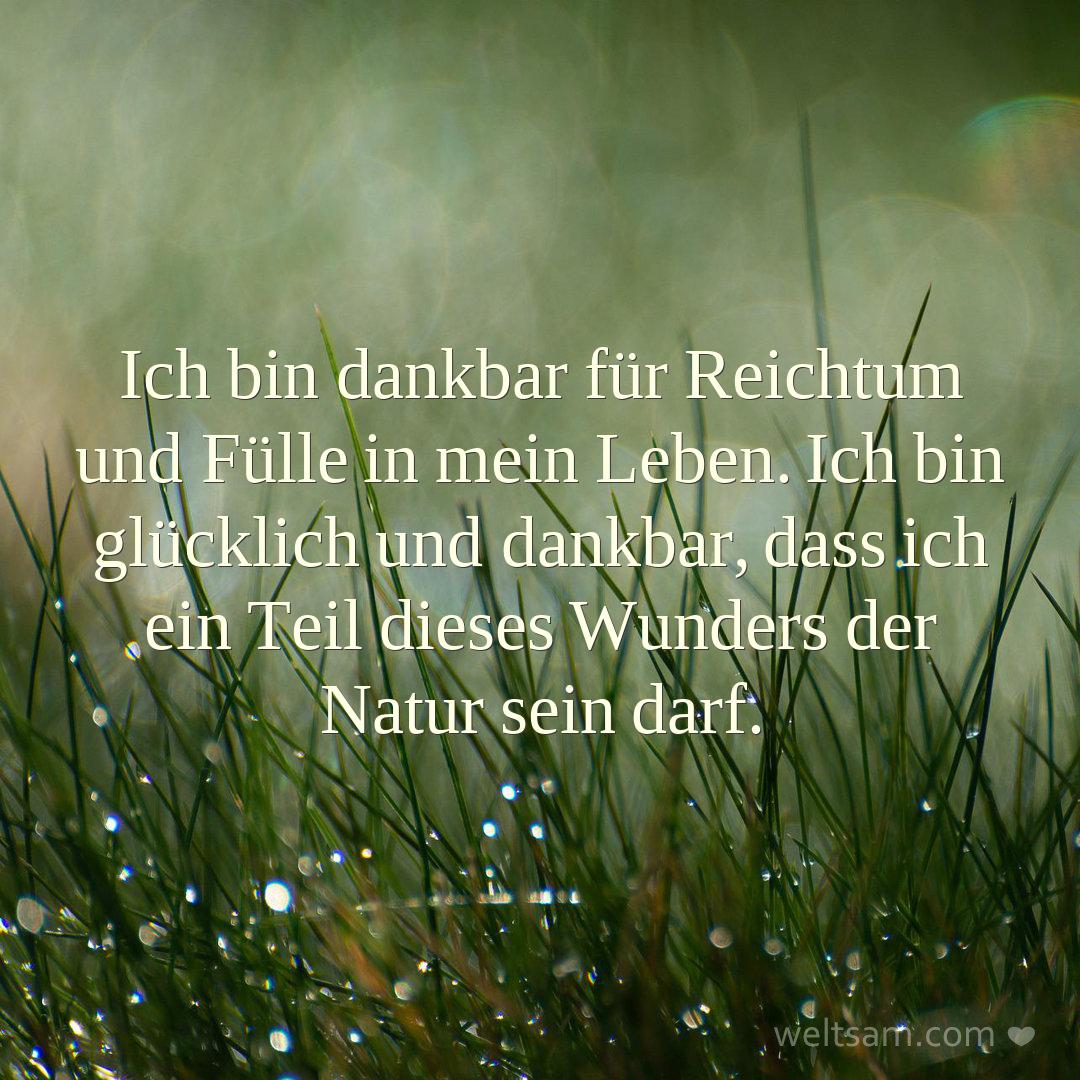 Ich bin dankbar für Reichtum und Fülle in mein Leben. Ich bin glücklich und dankbar, dass ich ein Teil dieses Wunders der Natur sein darf.