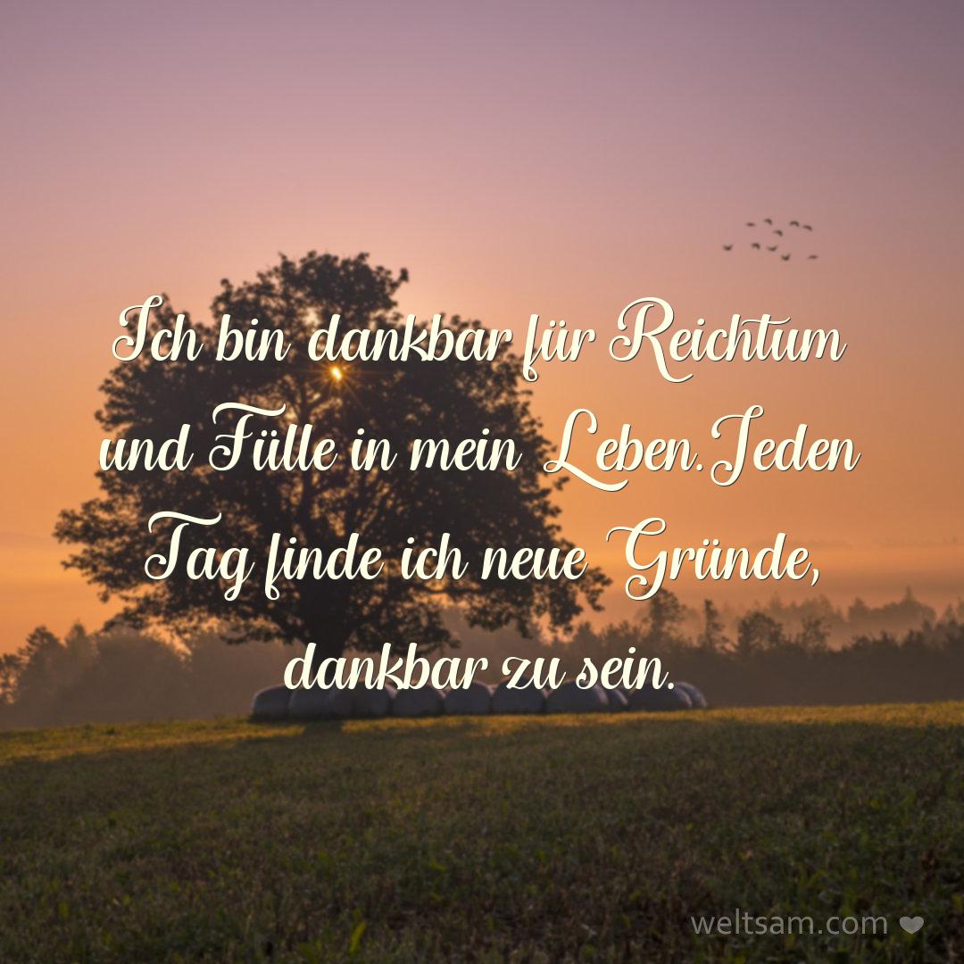 Ich bin dankbar für Reichtum und Fülle in mein Leben. Jeden Tag finde ich neue Gründe, dankbar zu sein.