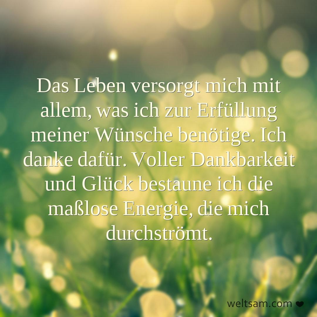 Das Leben versorgt mich mit allem, was ich zur Erfüllung meiner Wünsche benötige. Ich danke dafür. Voller Dankbarkeit und Glück bestaune ich die maßlose Energie, die mich durchströmt.