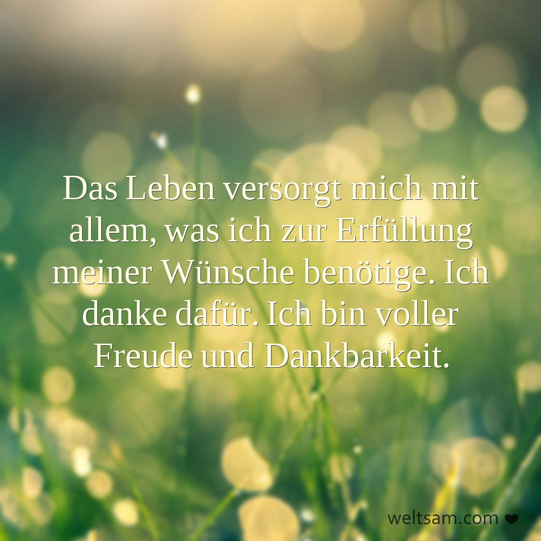 Das Leben versorgt mich mit allem, was ich zur Erfüllung meiner Wünsche benötige. Ich danke dafür. Ich bin voller Freude und Dankbarkeit.