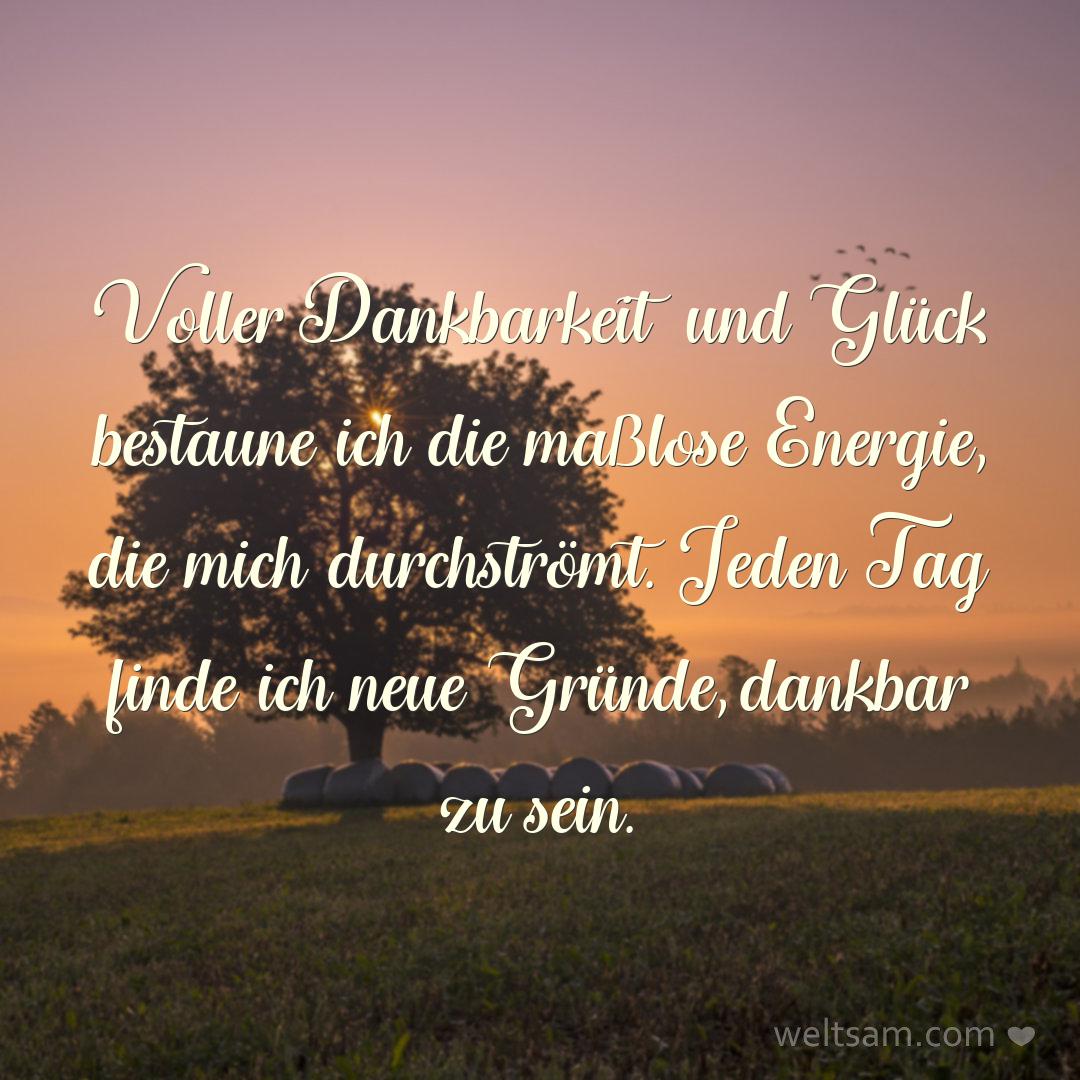 Voller Dankbarkeit und Glück bestaune ich die maßlose Energie, die mich durchströmt. Jeden Tag finde ich neue Gründe, dankbar zu sein.