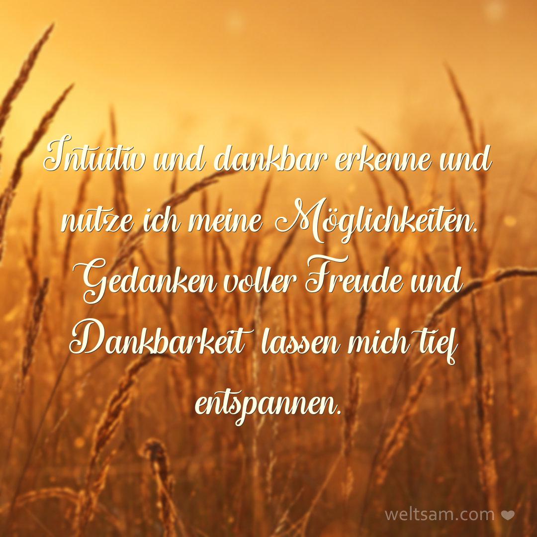 Intuitiv und dankbar erkenne und nutze ich meine Möglichkeiten. Gedanken voller Freude und Dankbarkeit lassen mich tief entspannen.