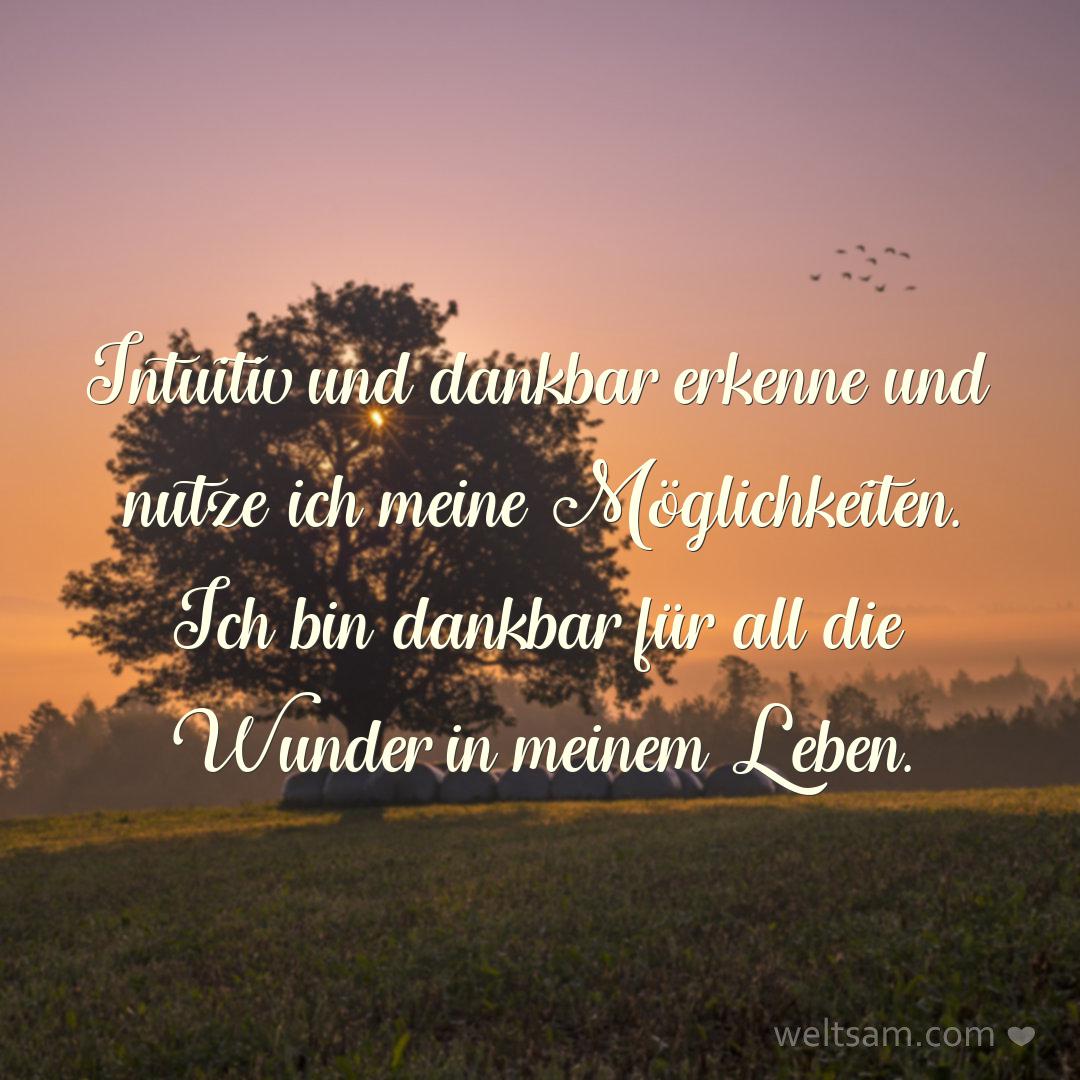 Intuitiv und dankbar erkenne und nutze ich meine Möglichkeiten. Ich bin dankbar für all die Wunder in meinem Leben.