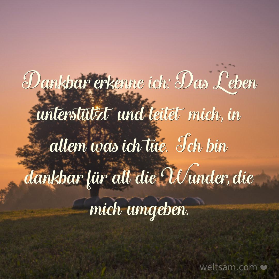 Dankbar erkenne ich: Das Leben unterstützt und leitet mich, in allem was ich tue. Ich bin dankbar für all die Wunder, die mich umgeben.