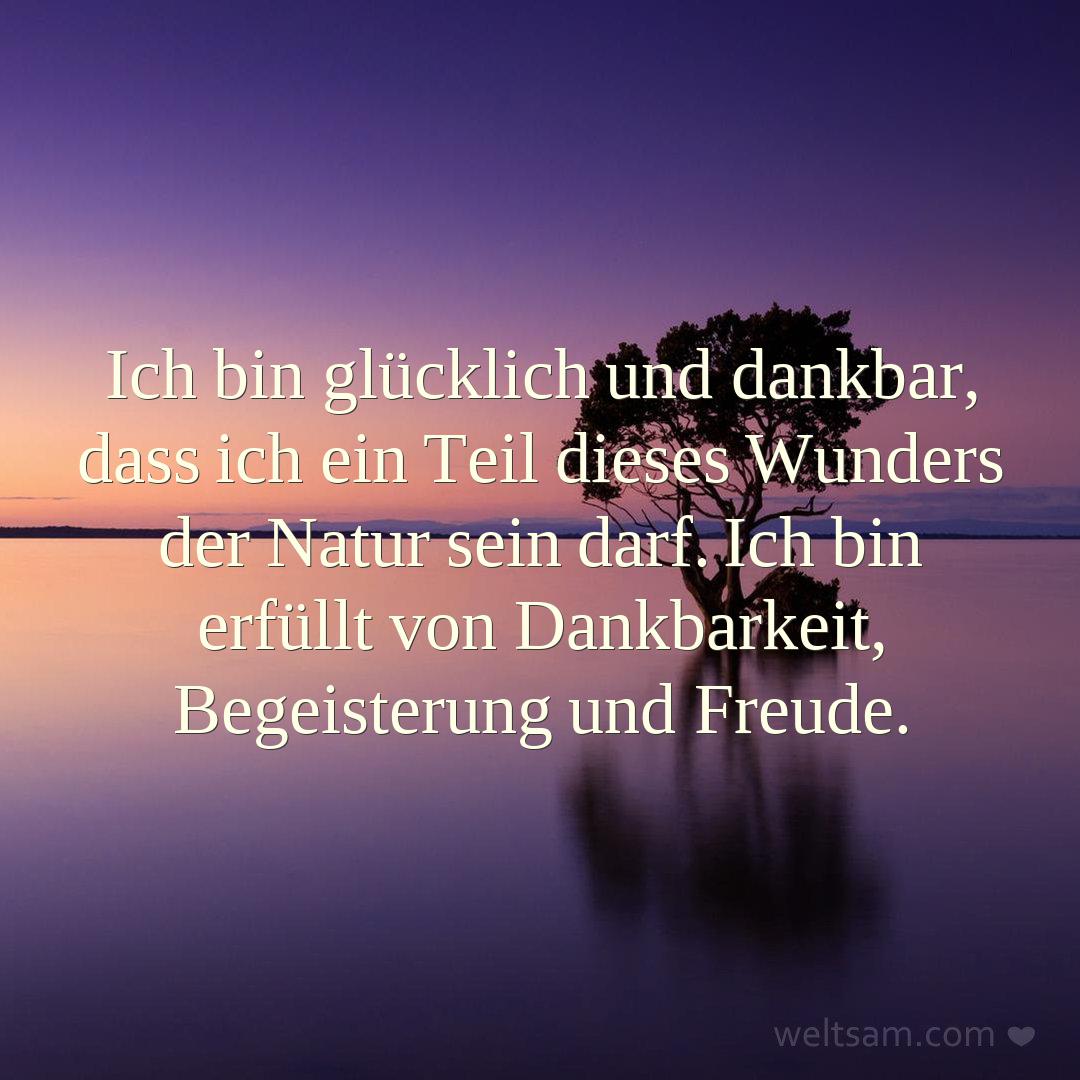 Ich bin glücklich und dankbar, dass ich ein Teil dieses Wunders der Natur sein darf. Ich bin erfüllt von Dankbarkeit, Begeisterung und Freude.